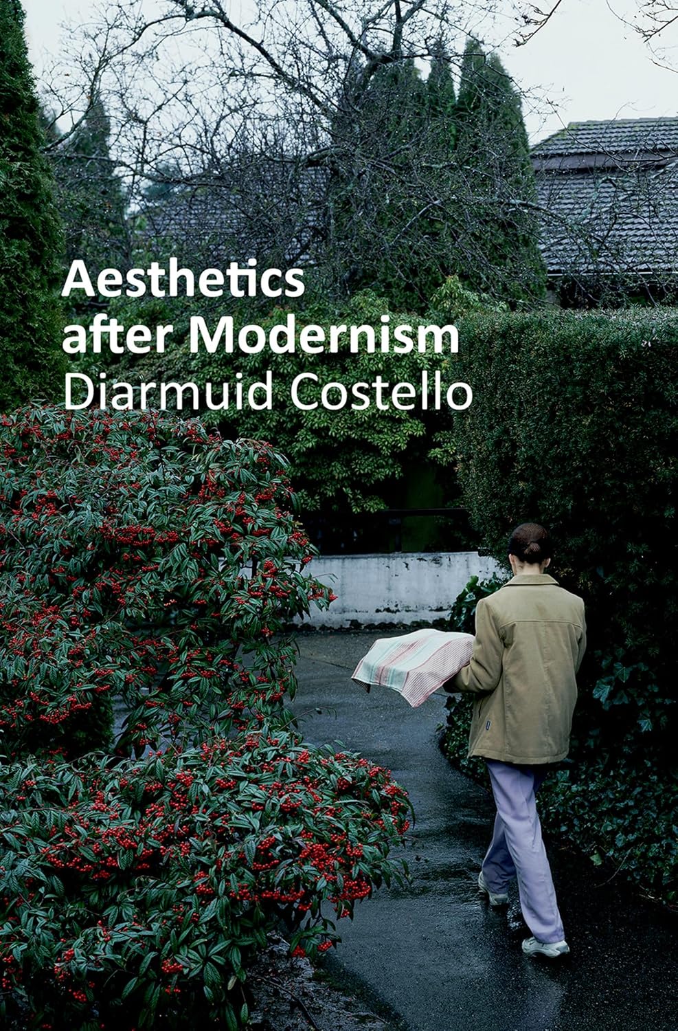 capítulo por capítulo baixar Aesthetics After Modernism (Thinking Art) (English Edition)
