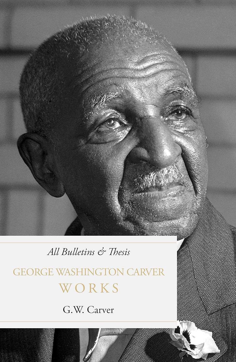 ler totalmente George Washington Carver Works: All Bulletins + Bonus Thesis (English Edition)