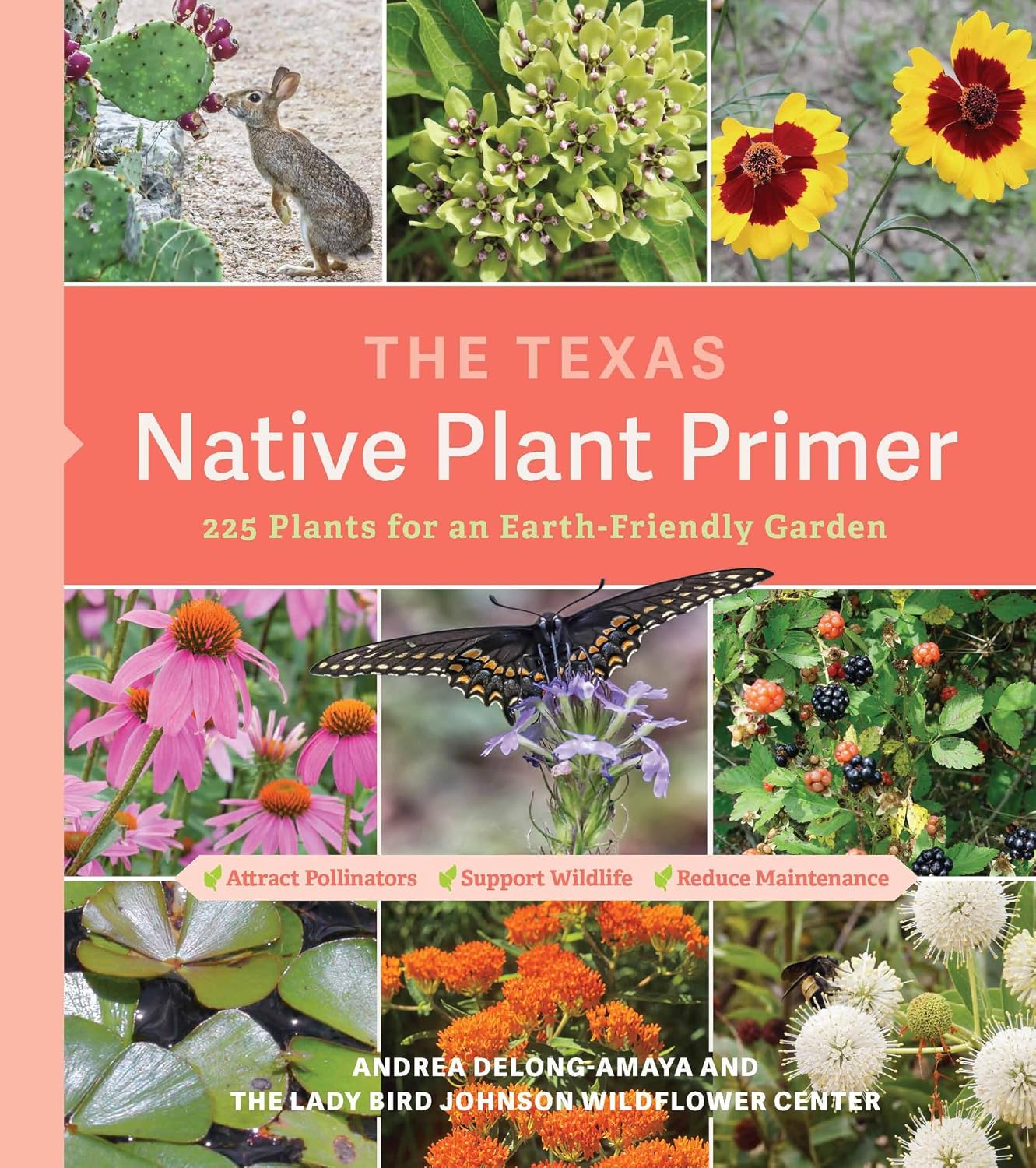 The Texas Native Plant Primer: 225 Plants for an Earth-Friendly Garden (English Edition) baixar o livro de graça