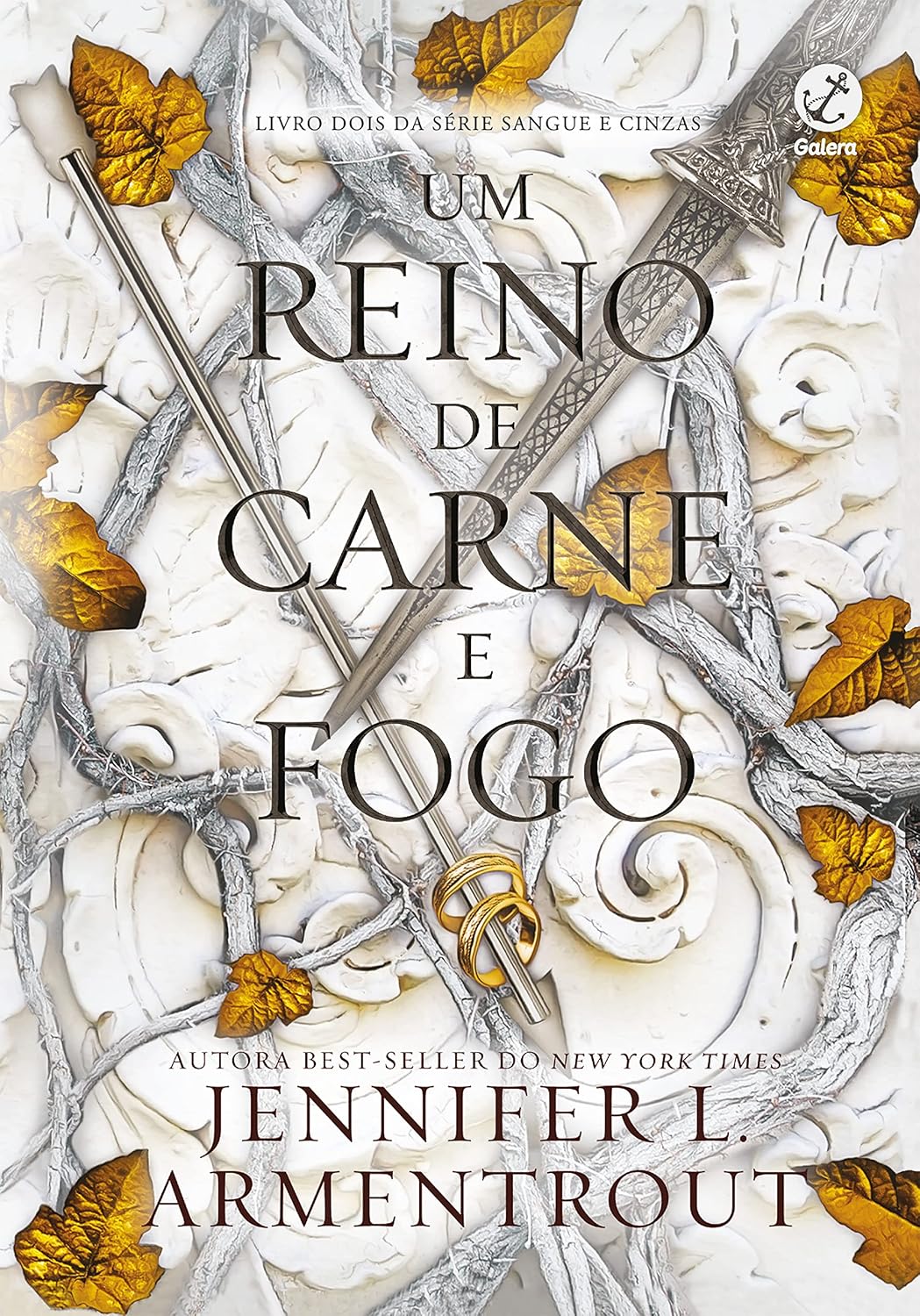 Um reino de carne e fogo (Vol. #2 Sangue e Cinzas)