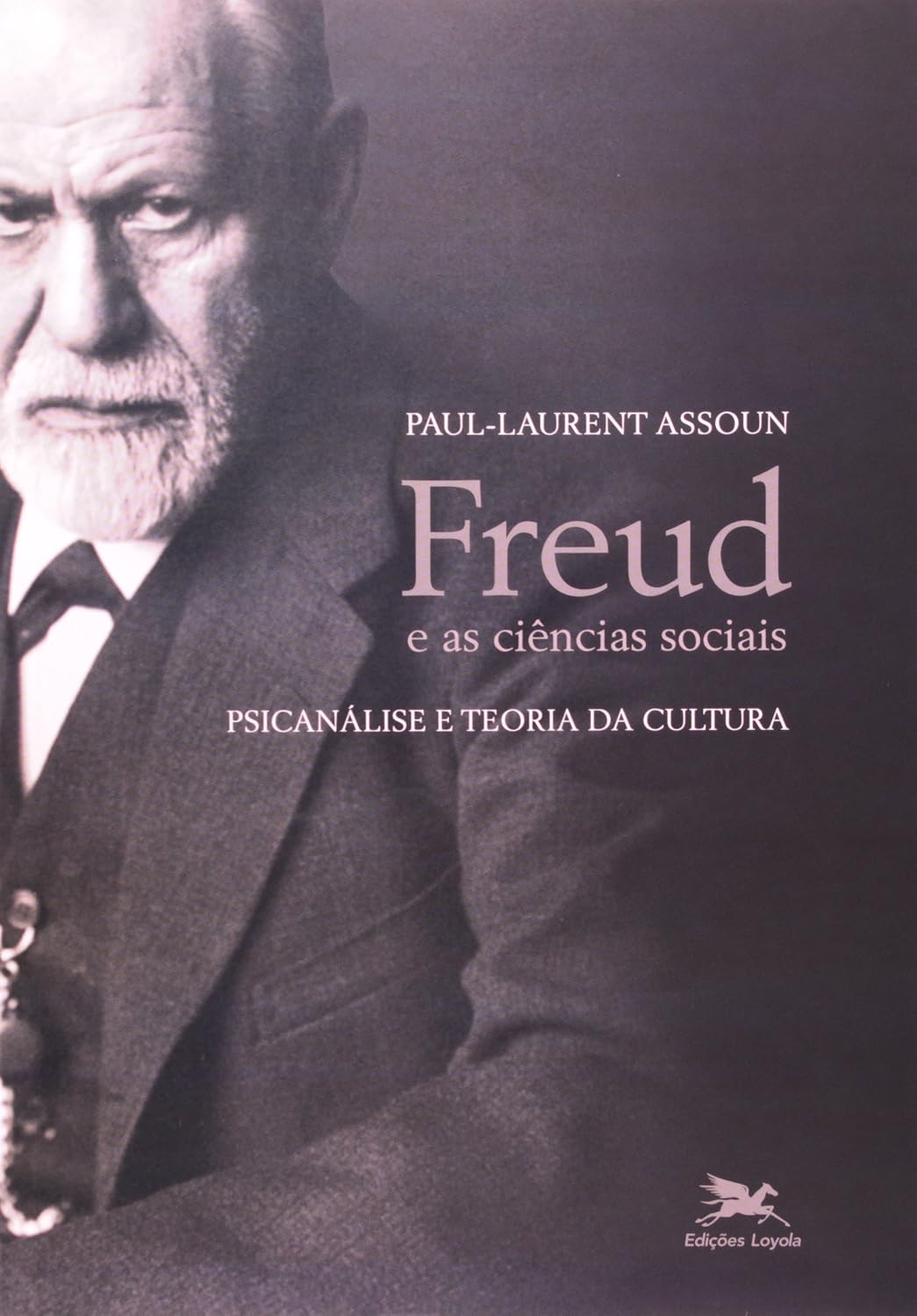 Freud e as ciências sociais: Psicanálise e teoria da cultura baixar o livro de graça