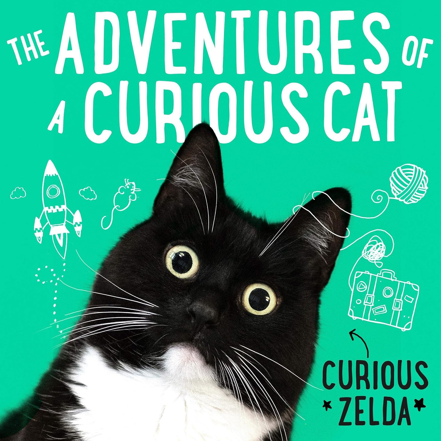 capítulo por capítulo baixar The Adventures of a Curious Cat