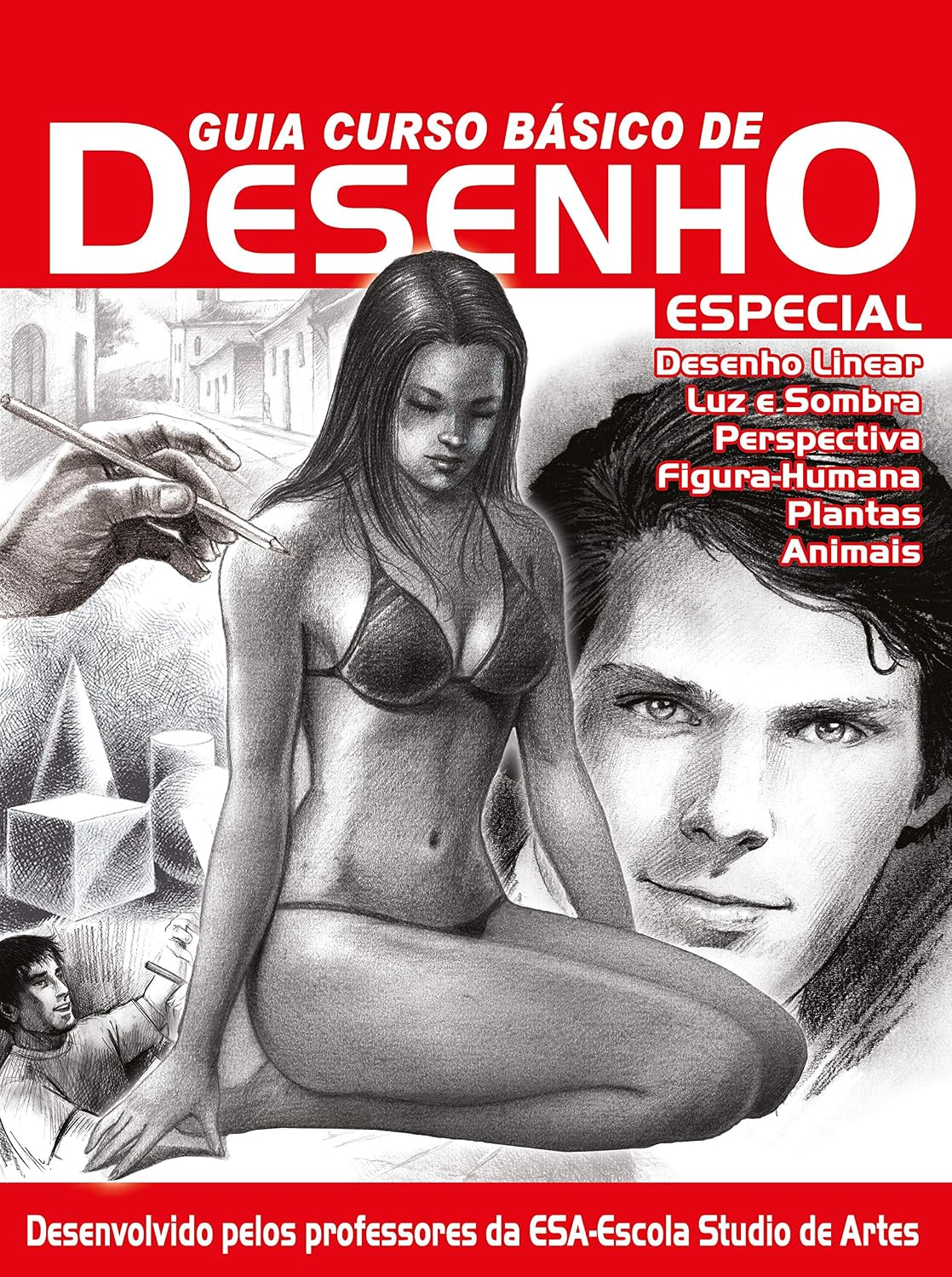 Guia curso básico de desenho - Especial baixar o livro de graça
