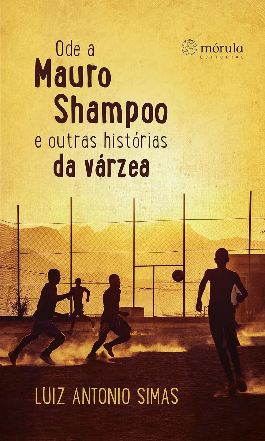 ler totalmente Ode a Mauro Shampoo e outras histórias da várzea