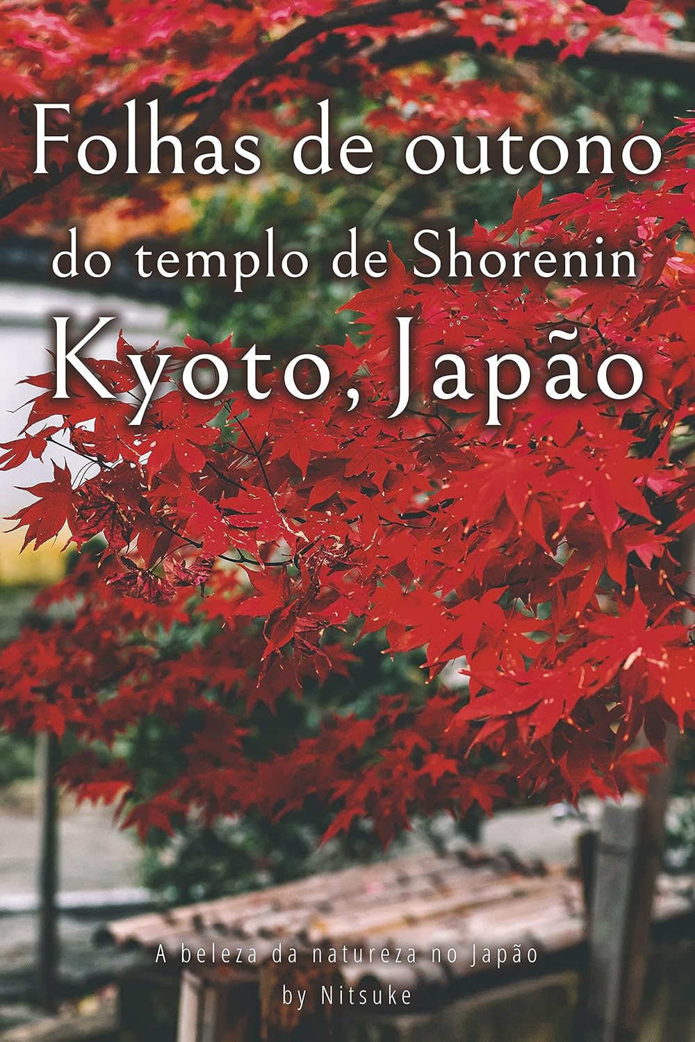 Folhas de outono do templo de Shorenin Kyoto, Japão (A beleza da natureza no Japão Livro 7) baixar livro de graça