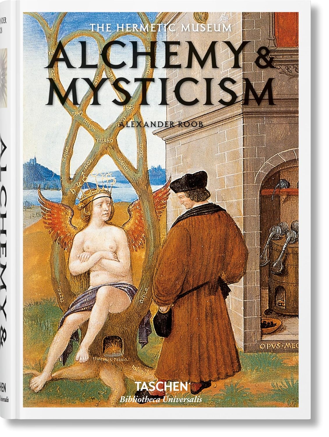ler totalmente Alchemy & Mysticism