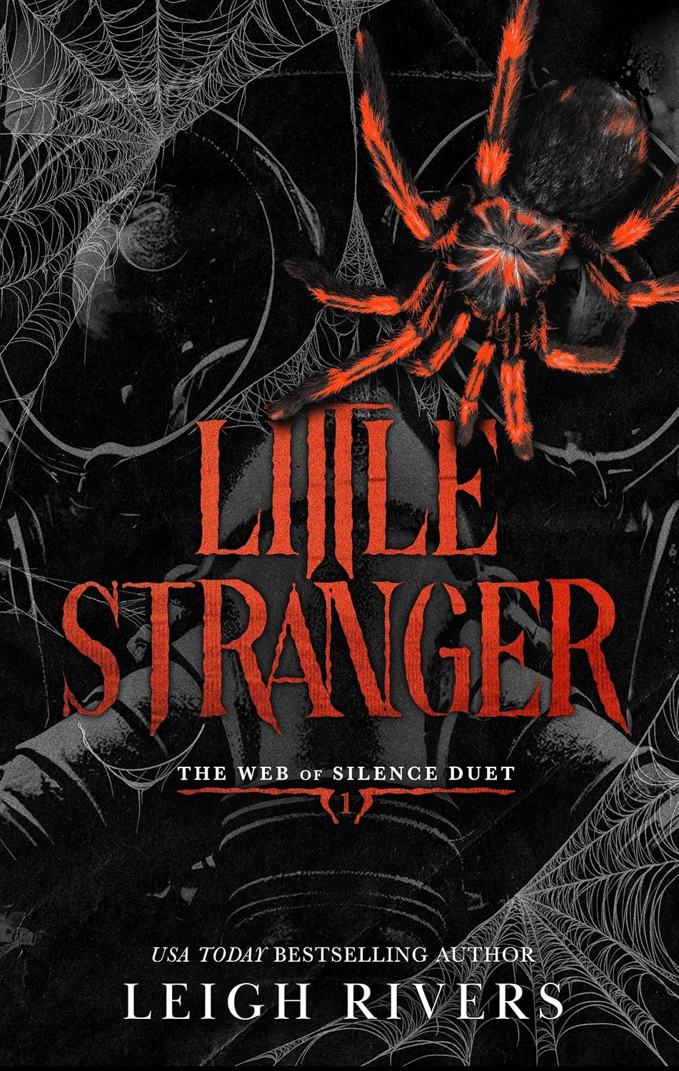 Little Stranger: A Dark Taboo Romance (The Web of Silence Duet Book 1) (English Edition) baixar livro de graça