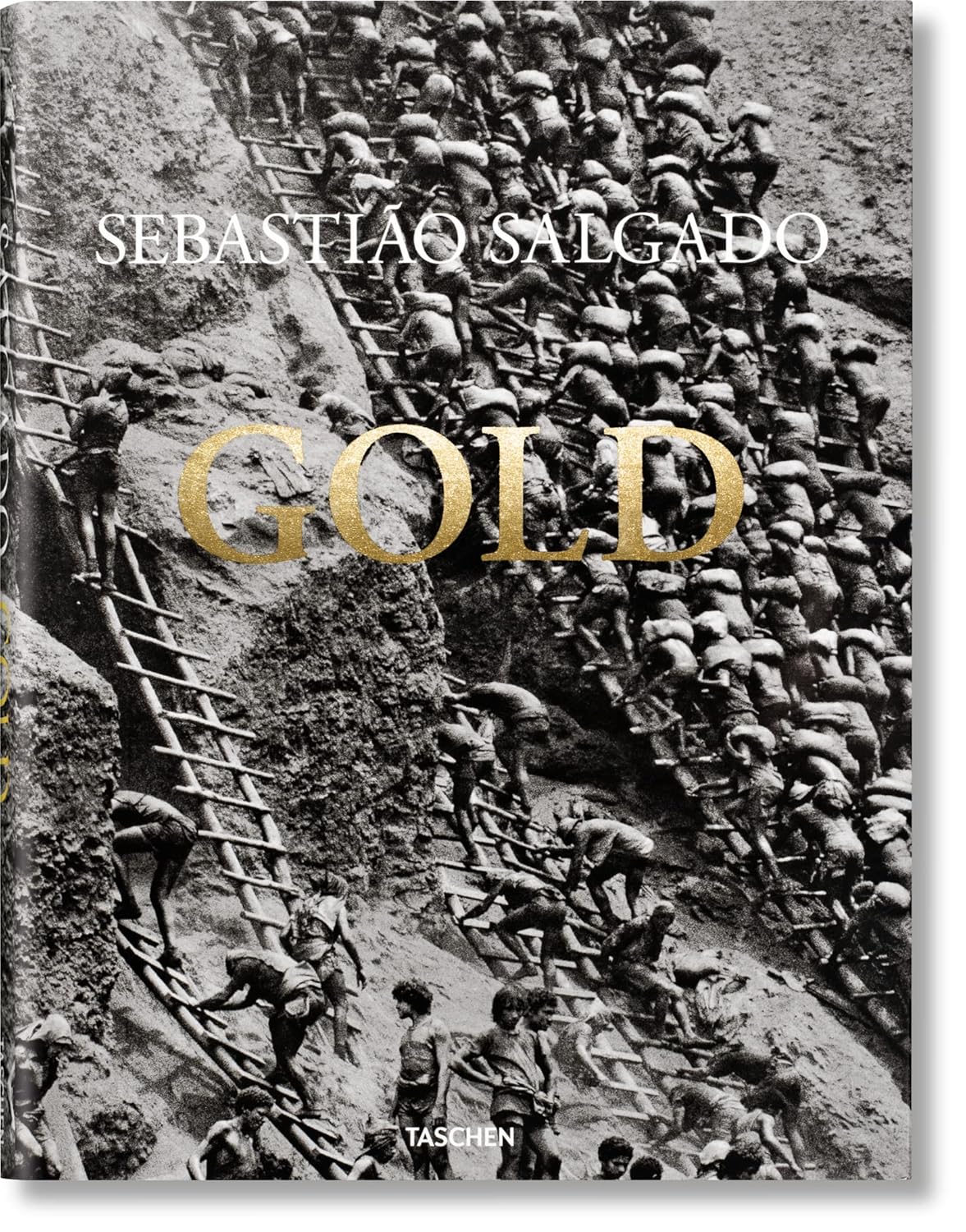 Gold baixar livro de graça