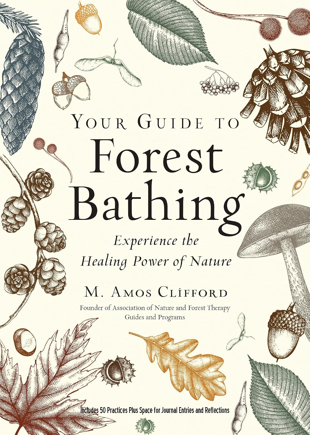 Your Guide to Forest Bathing (Expanded Edition): Experience the Healing Power of Nature baixar o livro de graça
