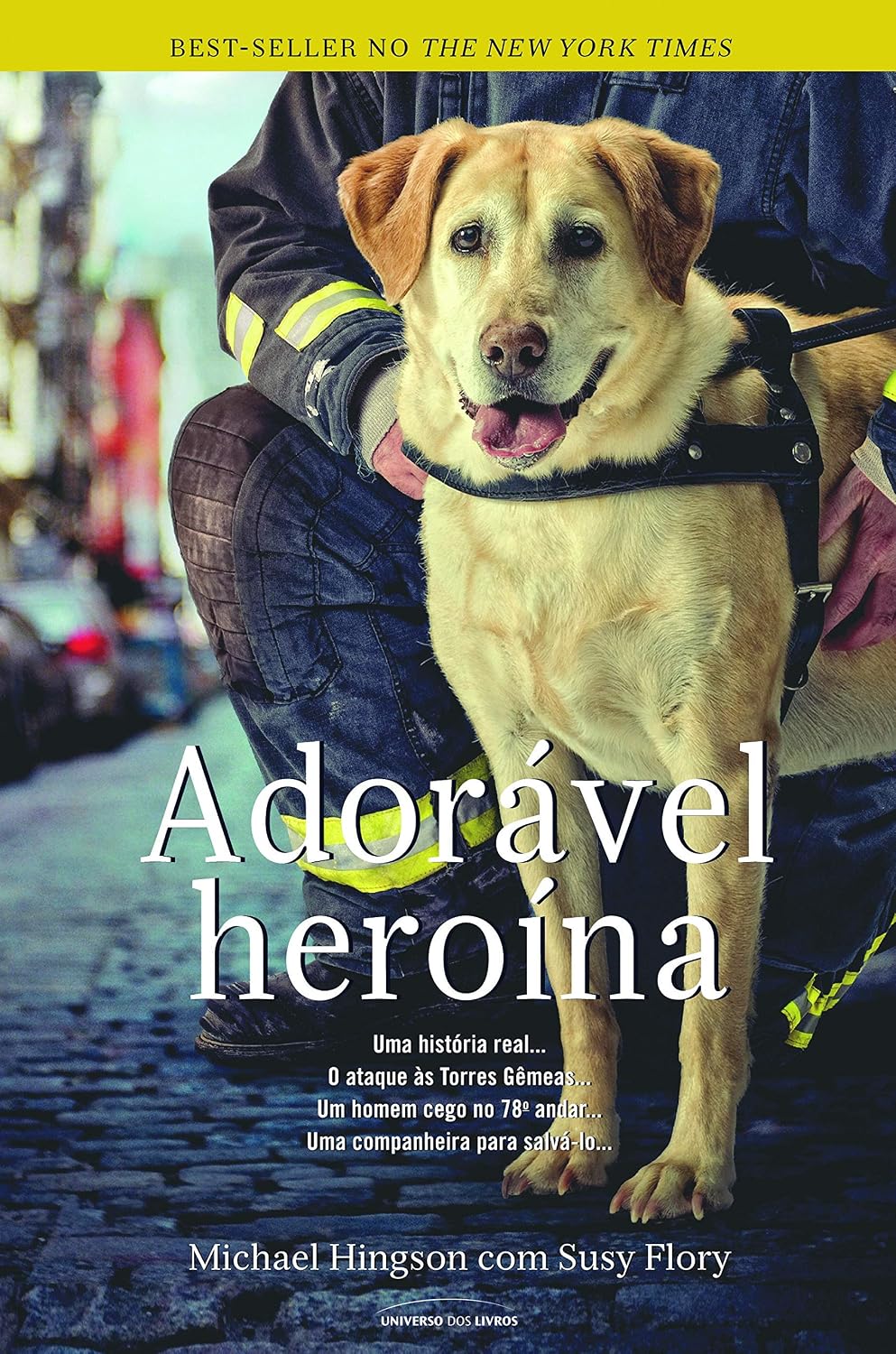 Adorável heroína baixar o livro de graça