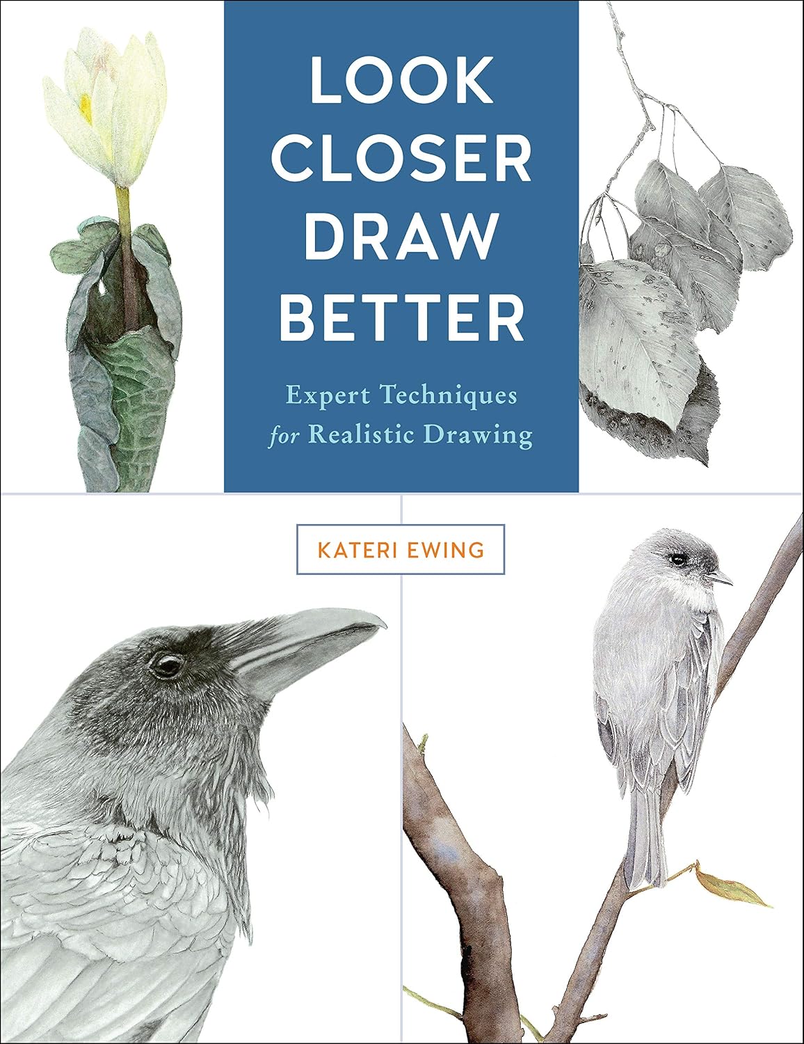 ler totalmente Look Closer, Draw Better: Expert Techniques for Realistic Drawing (English Edition)