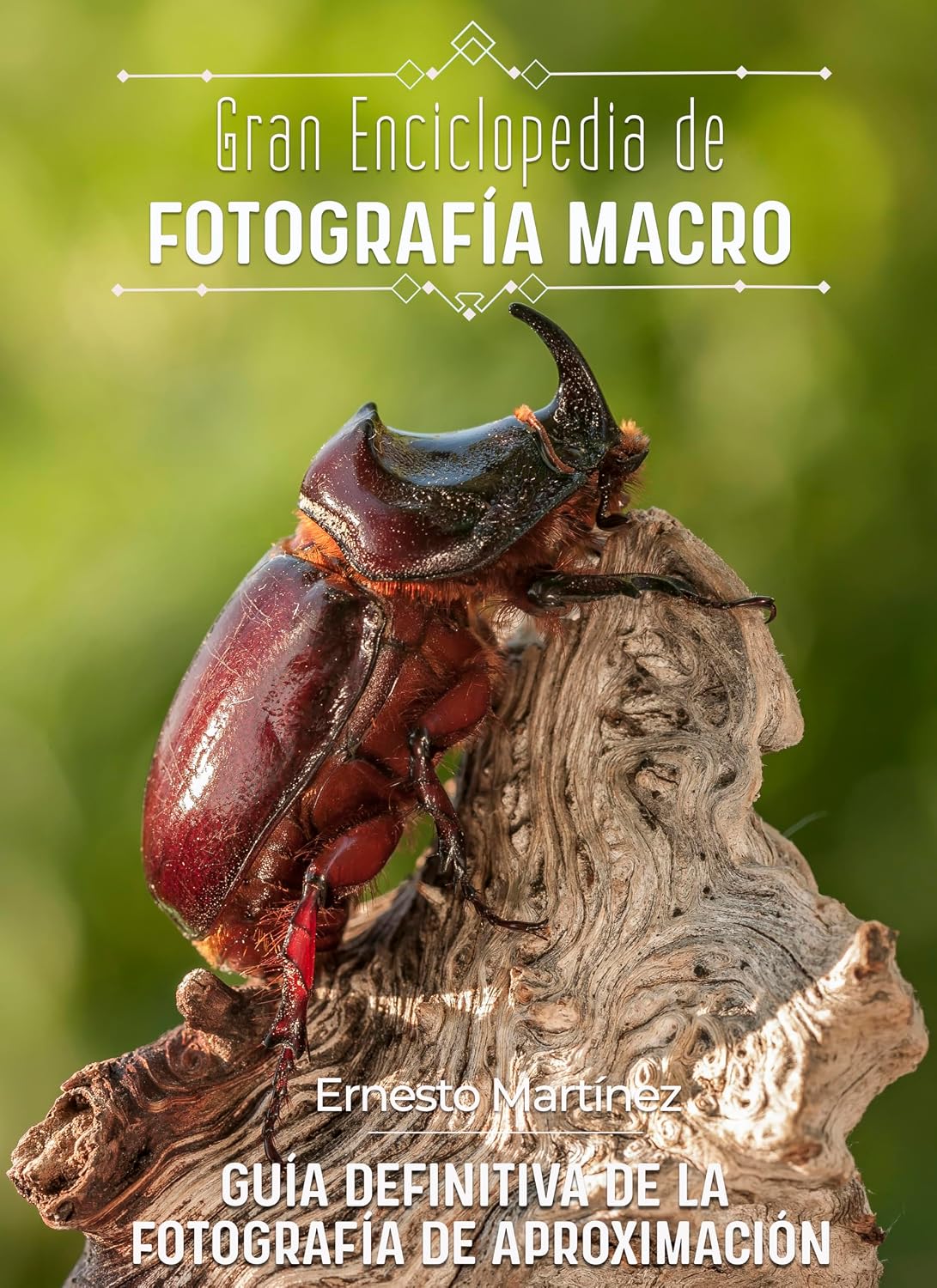 capítulo por capítulo baixar Gran Enciclopedia de la Fotografía Macro: Guía definitiva de la Fotografía de Aproximación (Spanish Edition)