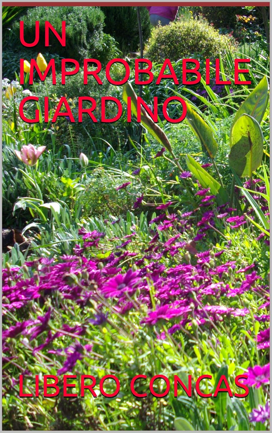 ler totalmente UN IMPROBABILE GIARDINO (Italian Edition)