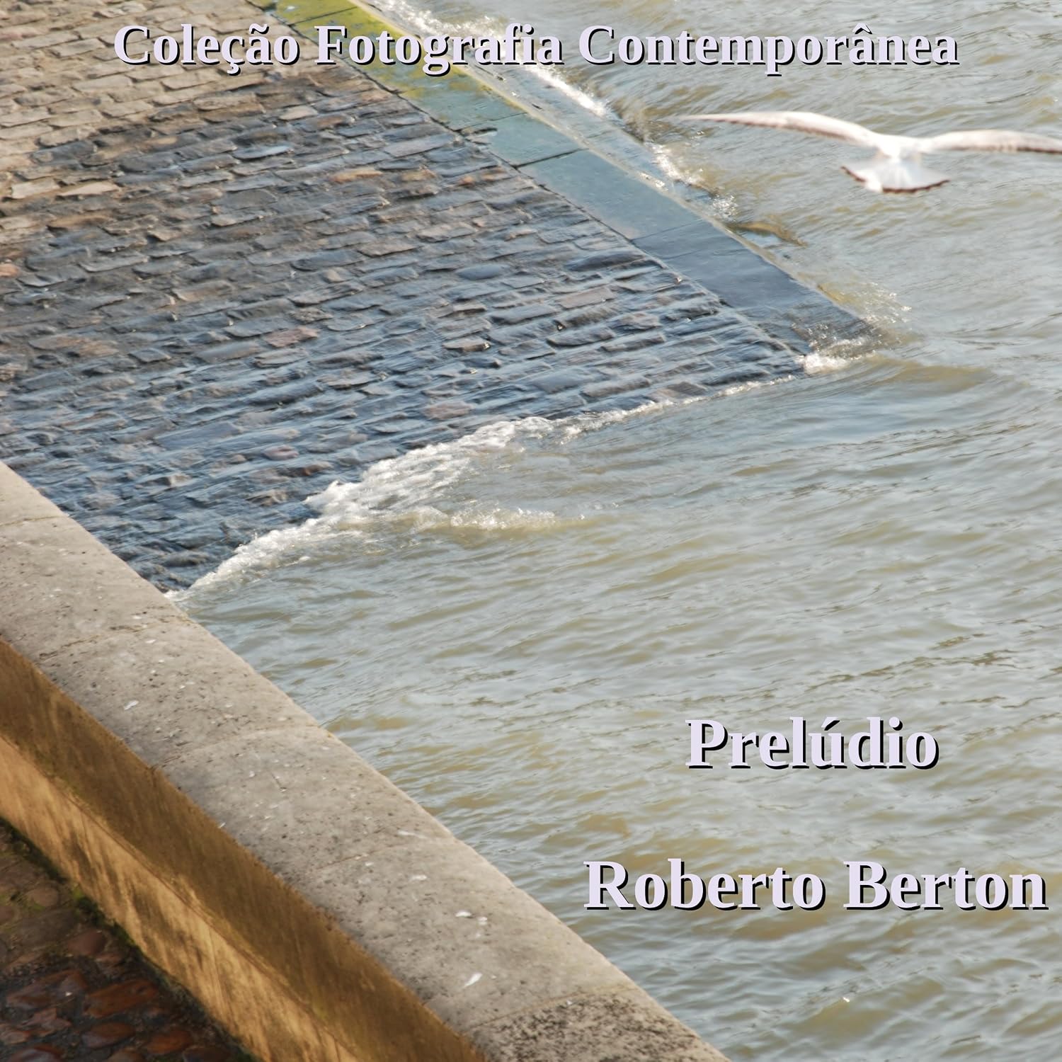Prelúdio (Coleção Fotografia Contemporânea) baixar o livro de graça