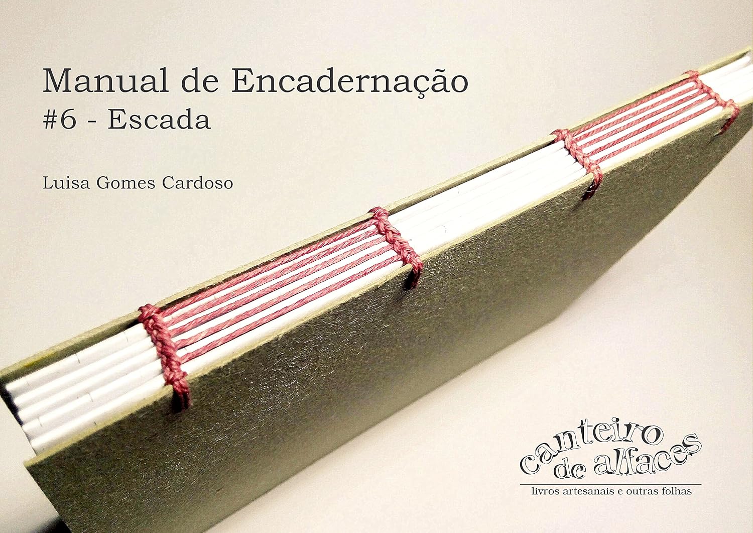 Manual de Encadernação: #6 - Escada (Manual de Encadernação: Costuras) baixar o livro de graça