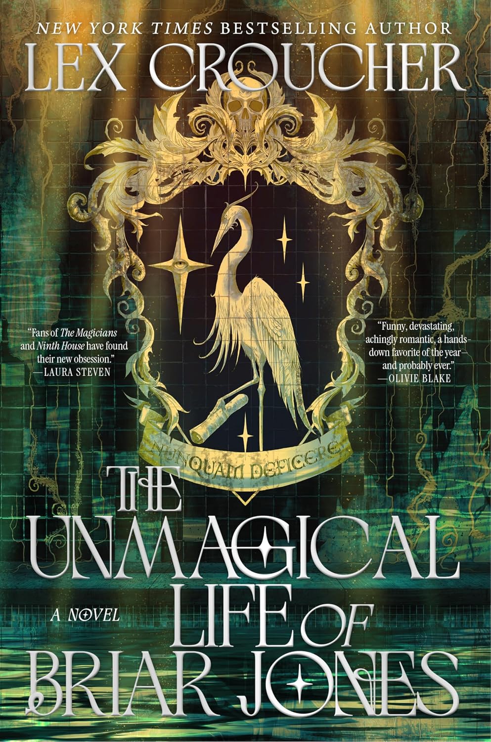 The Unmagical Life of Briar Jones: A Dark Academia Fantasy (English Edition) baixar o livro de graça