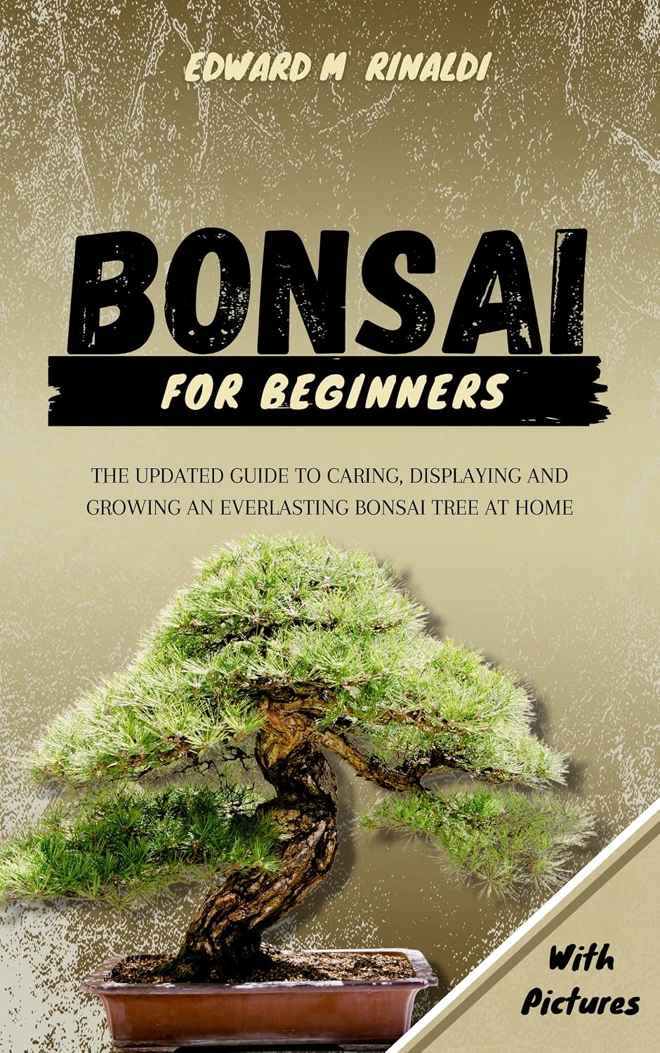 Bonsai for Beginners: The Updated Guide to Caring, Displaying and Growing an Everlasting Bonsai Tree at Home (English Edition) baixar livro de graça