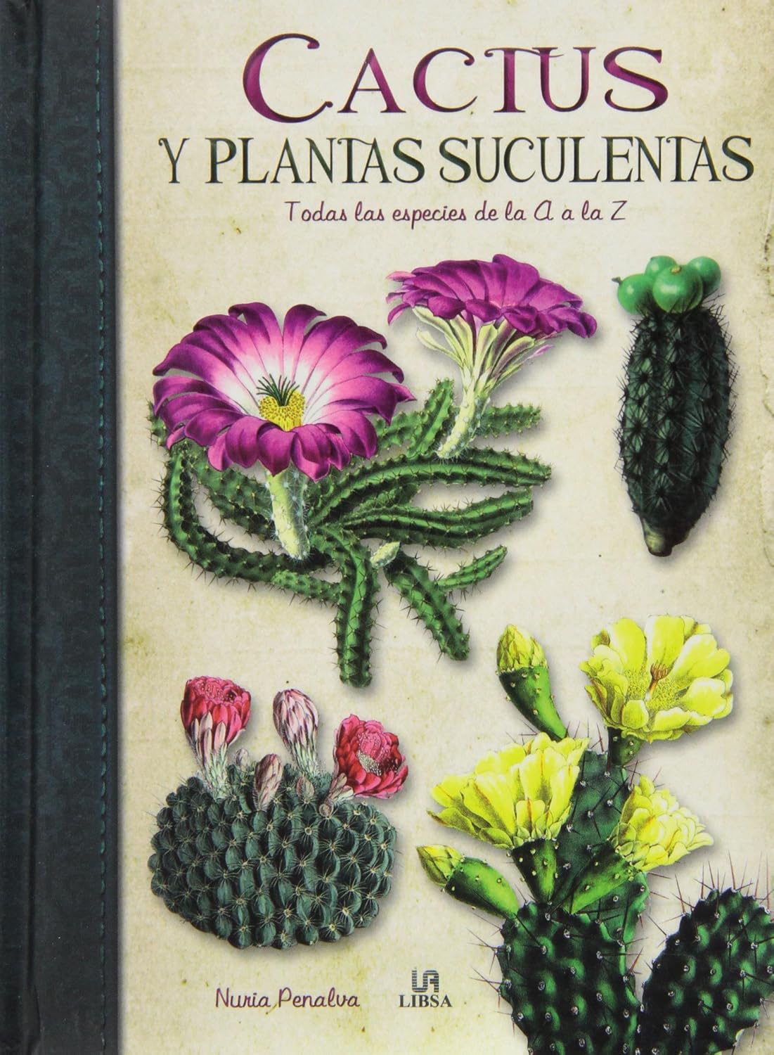 ler totalmente Cactus y Plantas Suculentas: Todas las Especies de la A a la Z
