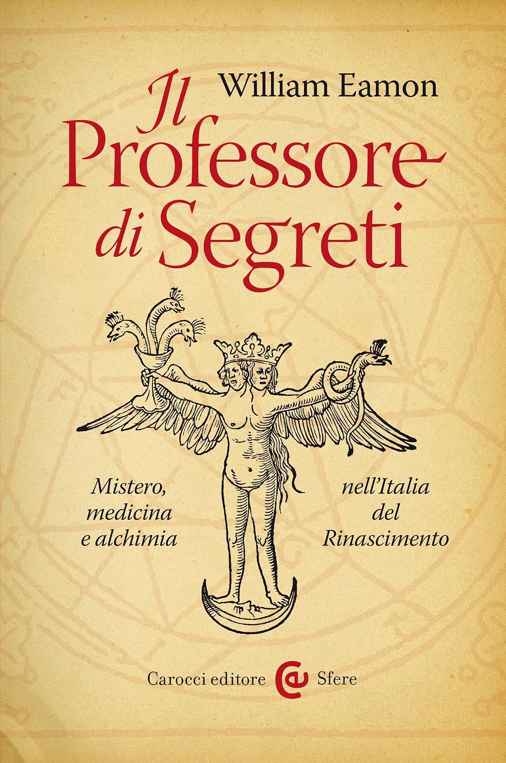 ler totalmente Il Professore di Segreti: Mistero, medicina e alchimia nell’Italia del Rinascimento: Mistero, medicina e alchimia nell’Italia del Rinascimento (Le sfere Vol. 85) (Italian Edition)