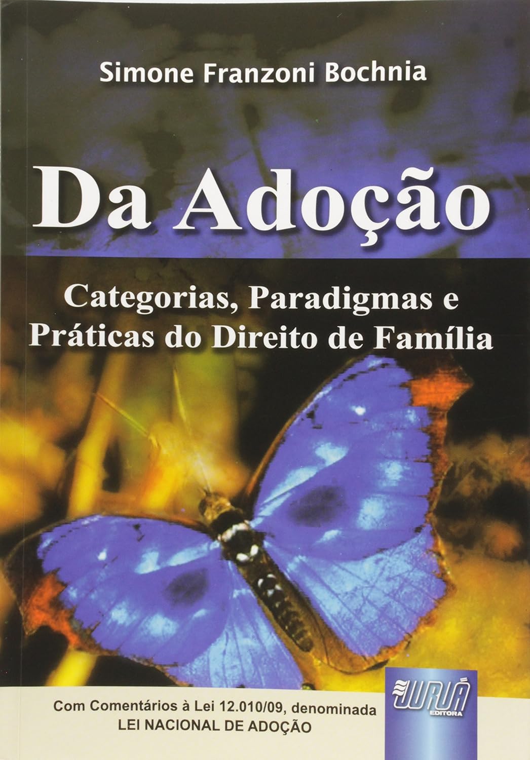 Adoção, Da: Categorias, Paradigmas e Práticas do Direito de Família baixar livro de graça