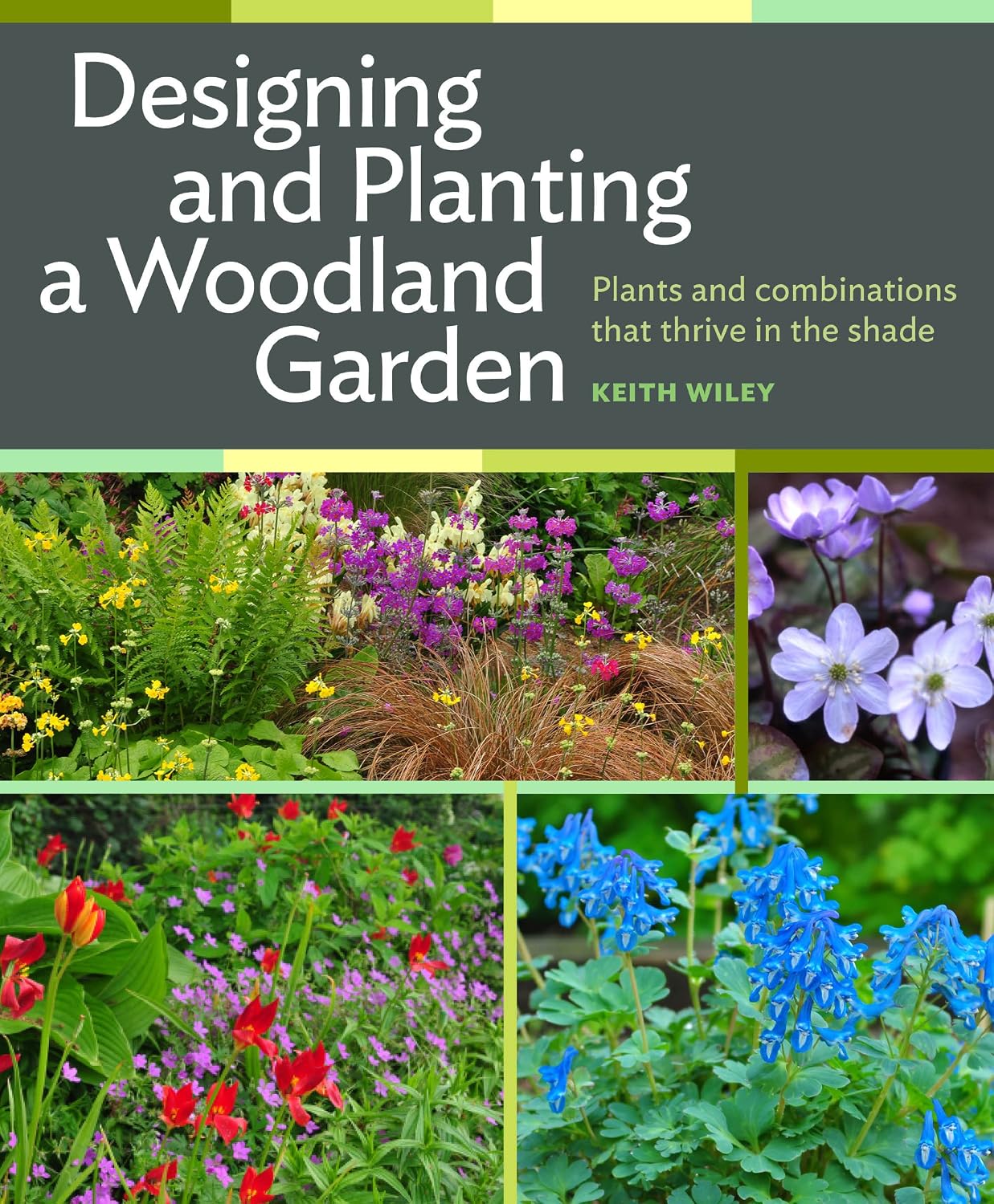Designing and Planting a Woodland Garden: Plants and Combinations That Thrive in the Shade
