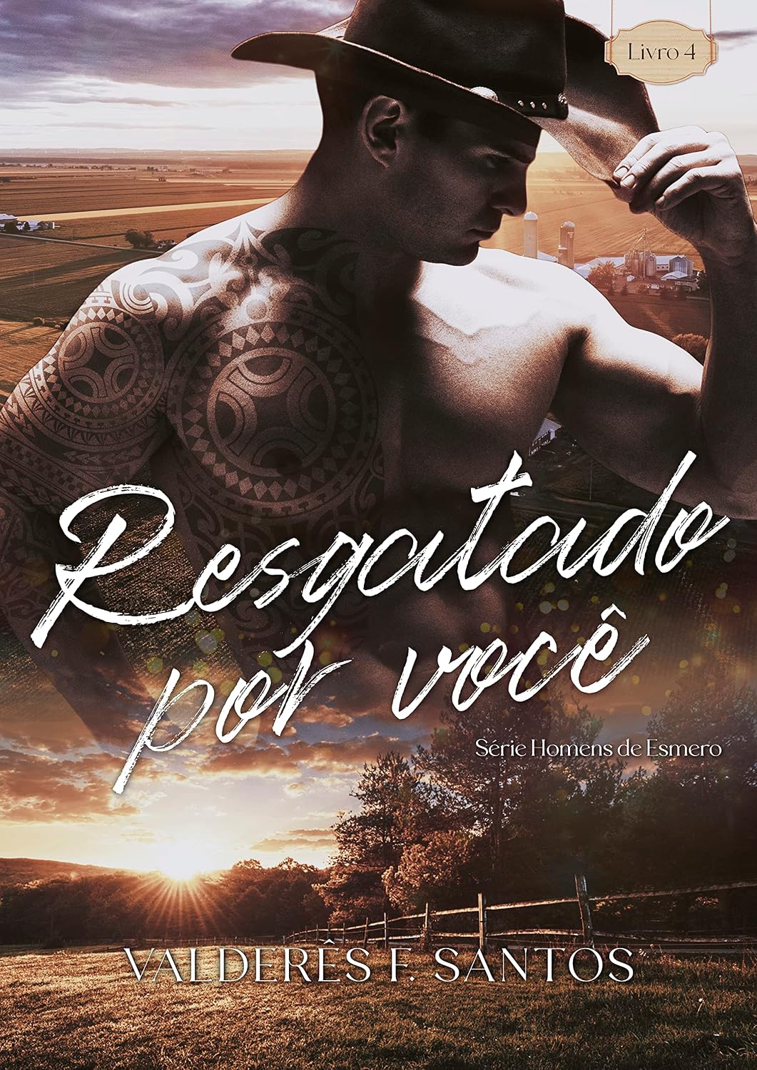 Resgatado por você: Série homens de Esmero - livro 4 baixar o livro de graça