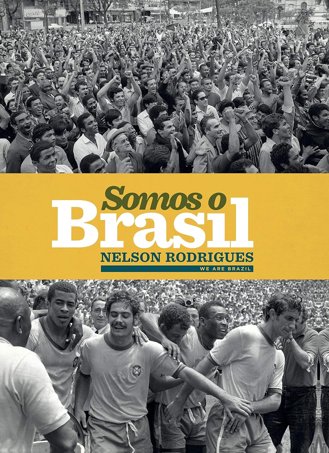 Somos o Brasil baixar livro de graça