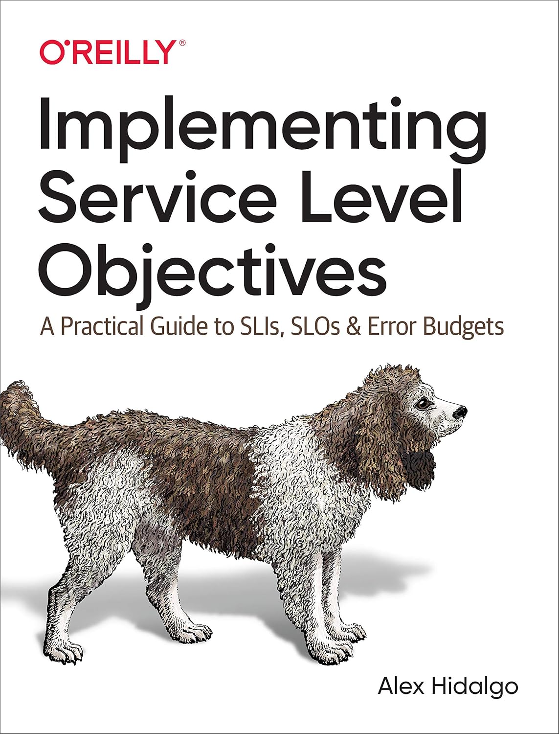 Implementing Service Level Objectives: A Practical Guide to Slis, Slos, and Error Budgets baixar o livro de graça