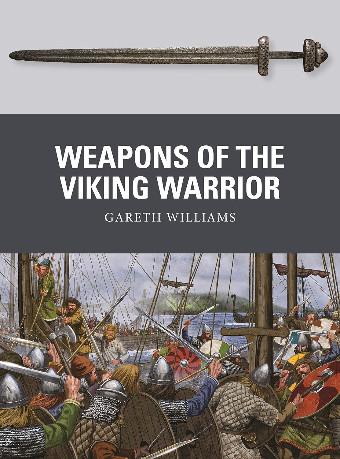 ler totalmente Weapons of the Viking Warrior (English Edition)