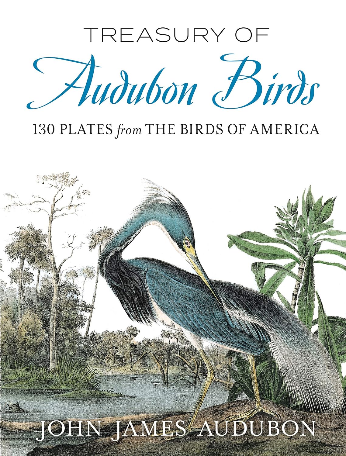 Treasury of Audubon Birds: 130 Plates from the Birds of America baixar livro de graça