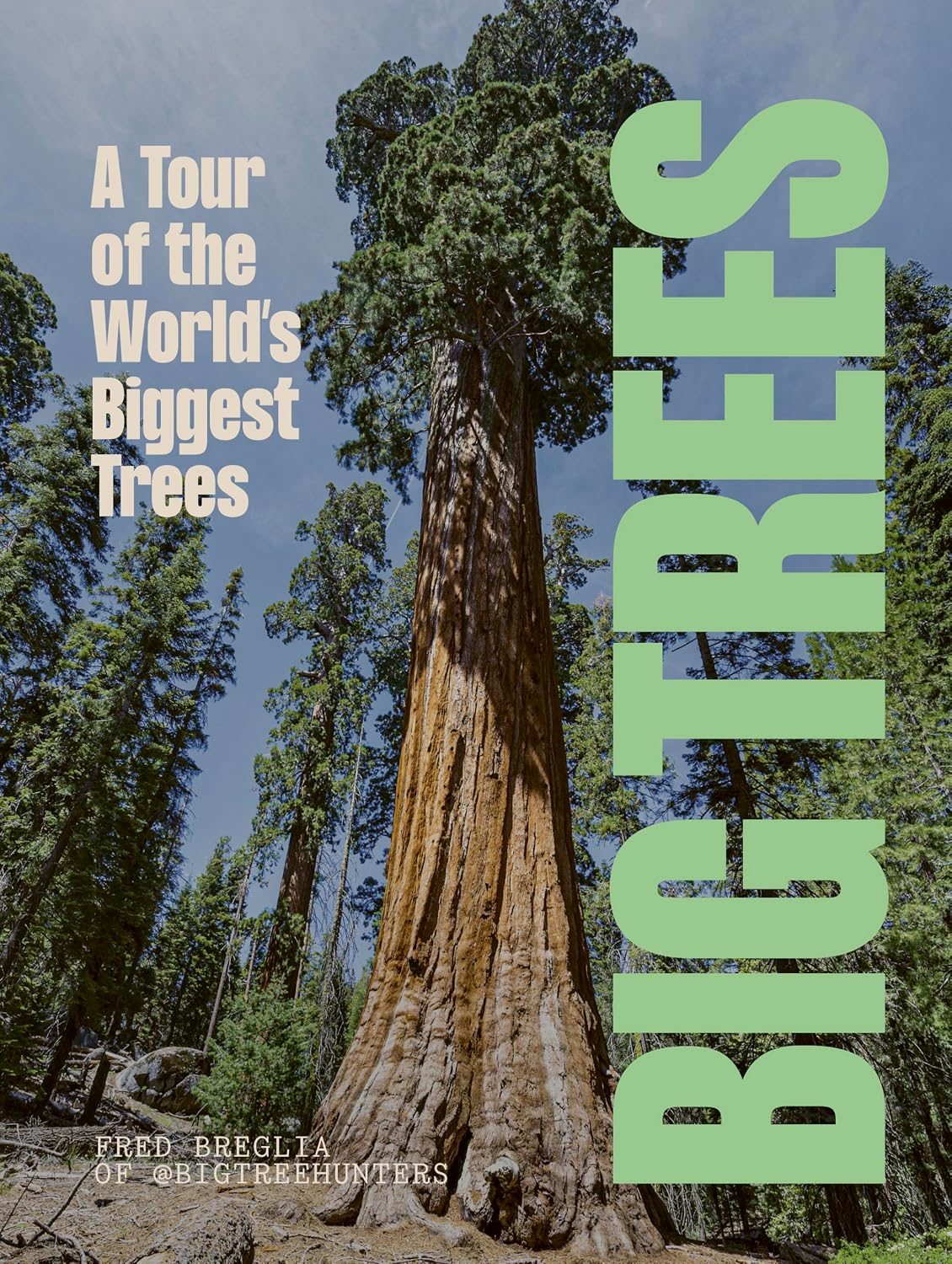 BIG TREES: A tour of the world's biggest trees (English Edition) baixar o livro de graça