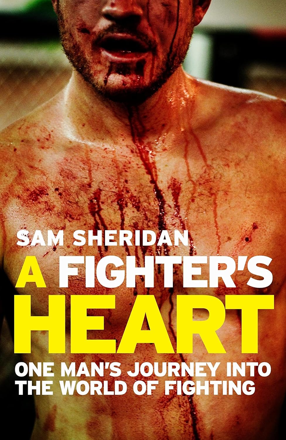 A Fighter's Heart: One man's journey through the world of fighting (English Edition) baixar o livro de graça