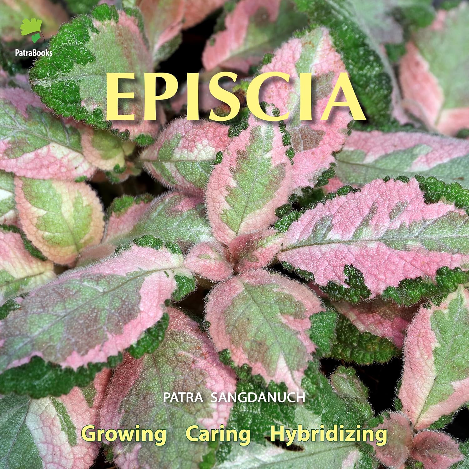 EPISCIA: A Visual Guide to Growing, Caring, and Hybridizing (Revised Edition) (English Edition) baixar livro de graça