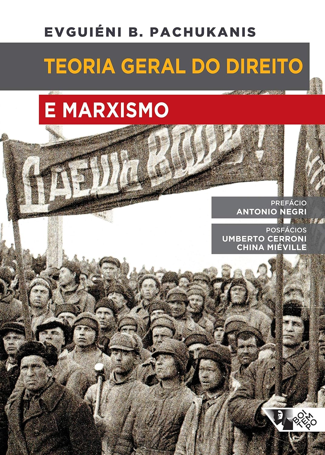 capítulo por capítulo baixar Teoria geral do direito e marxismo