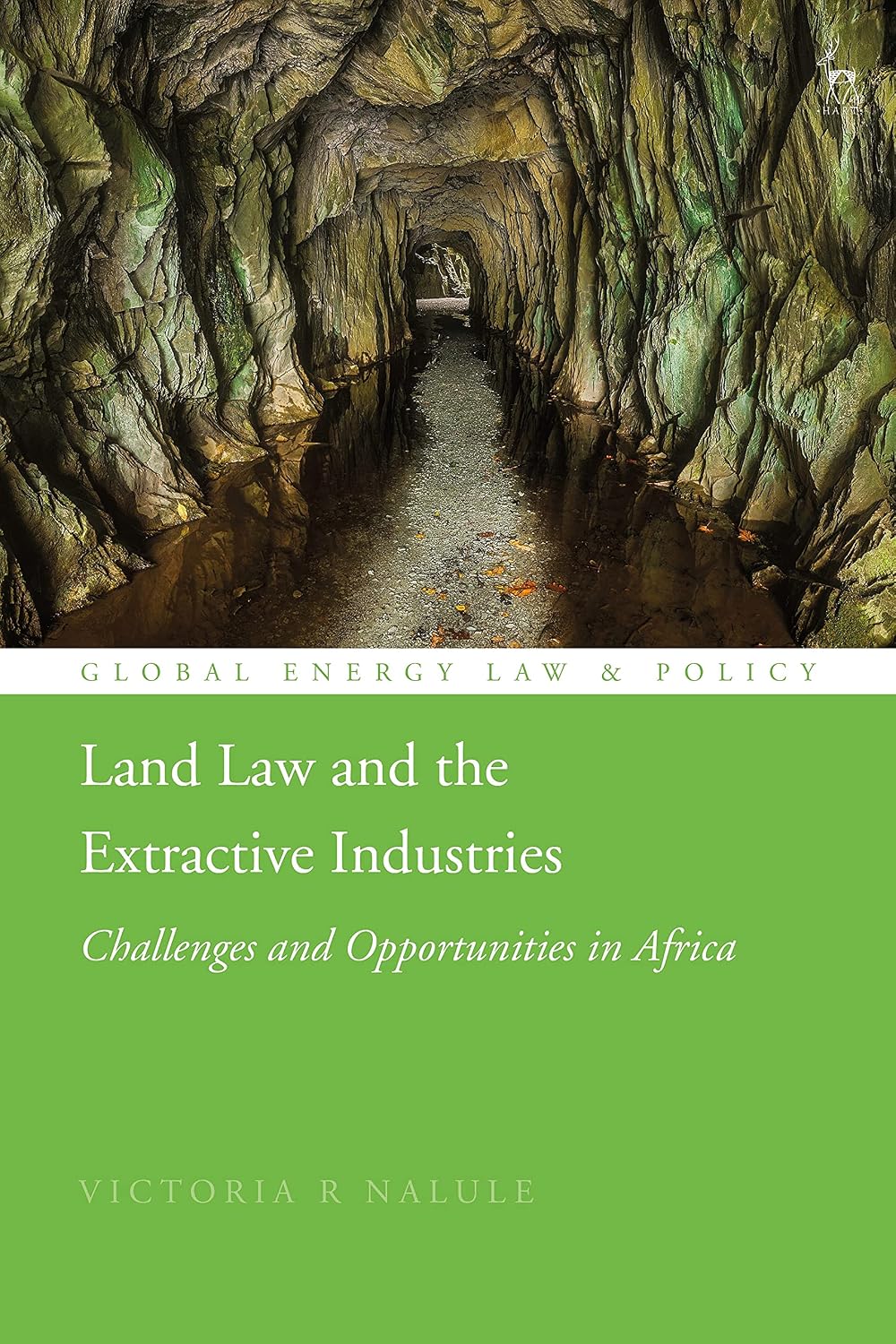 ler totalmente Land Law and the Extractive Industries: Challenges and Opportunities in Africa (English Edition)