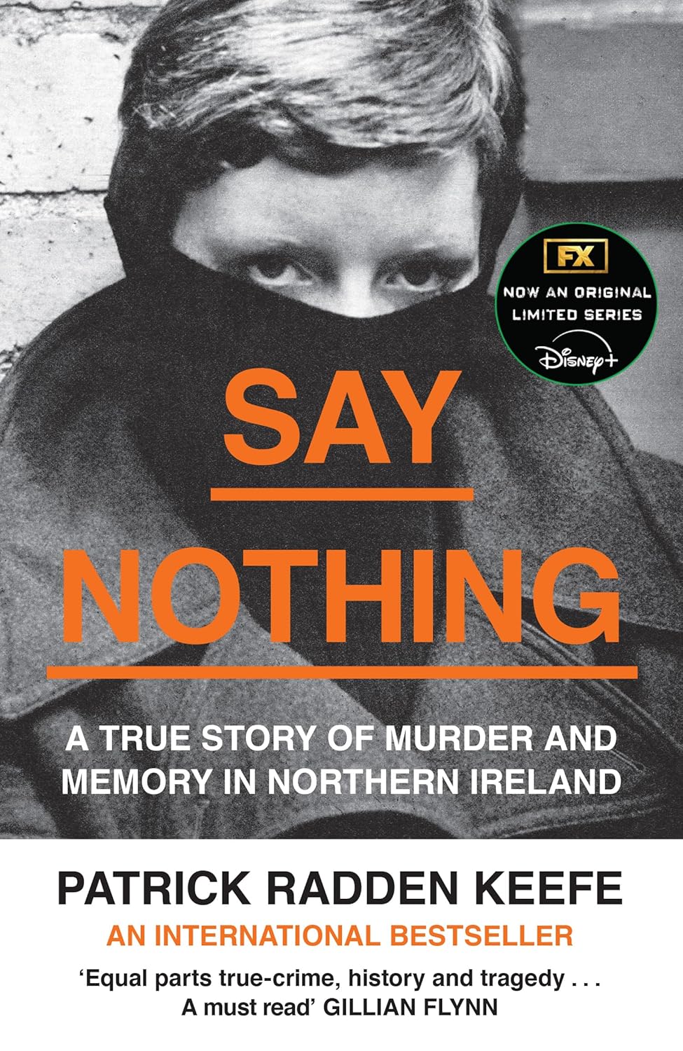 Say Nothing: The Internationally Bestselling True Story Of Murder and Memory In Northern Ireland (English Edition) baixar o livro de graça