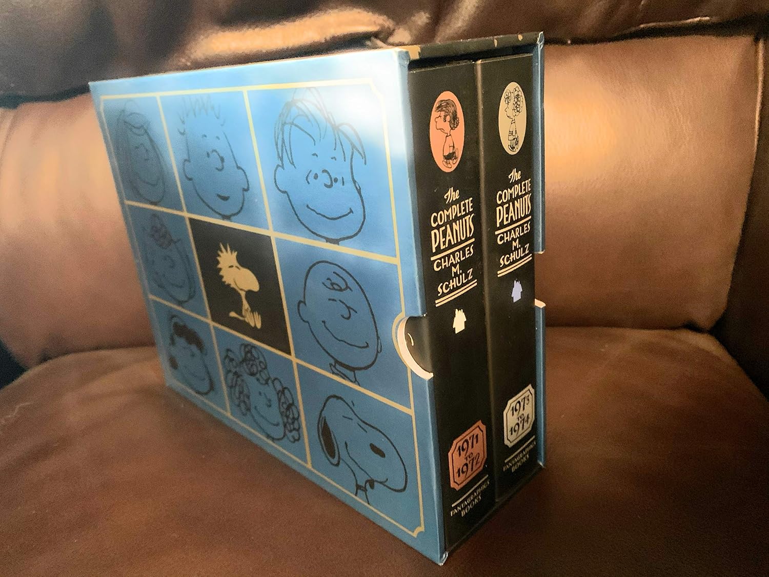 The Complete Peanuts 1971-1974: Gift Box Set - Hardcover: 0 baixar o livro de graça