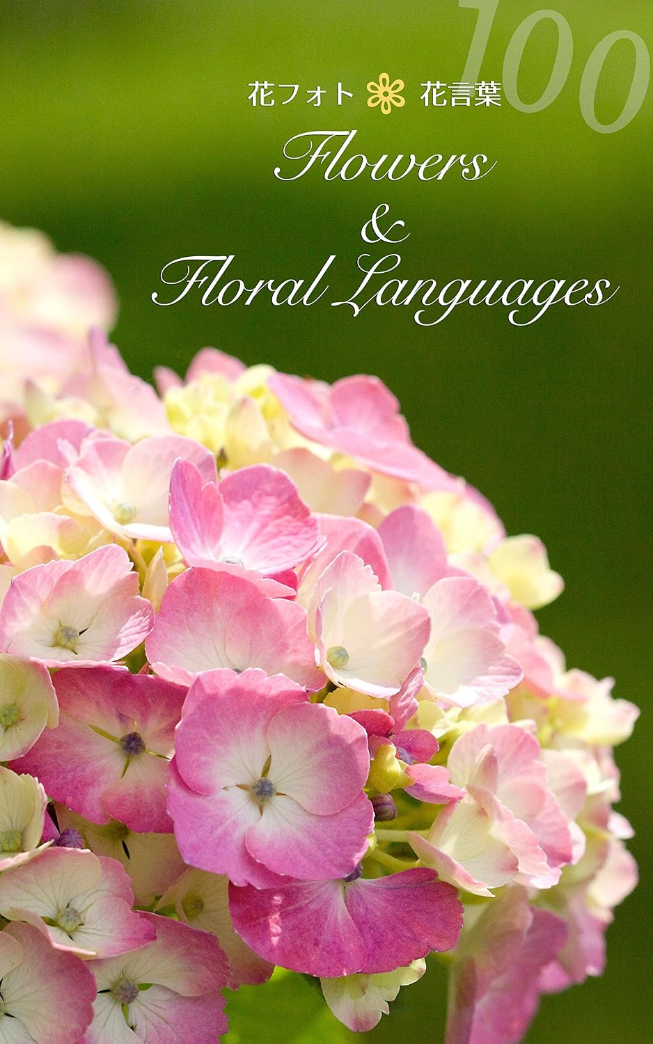 Flowers and Floral Languages: Hana-photo Hana-kotoba (Japanese Edition) baixar livro de graça