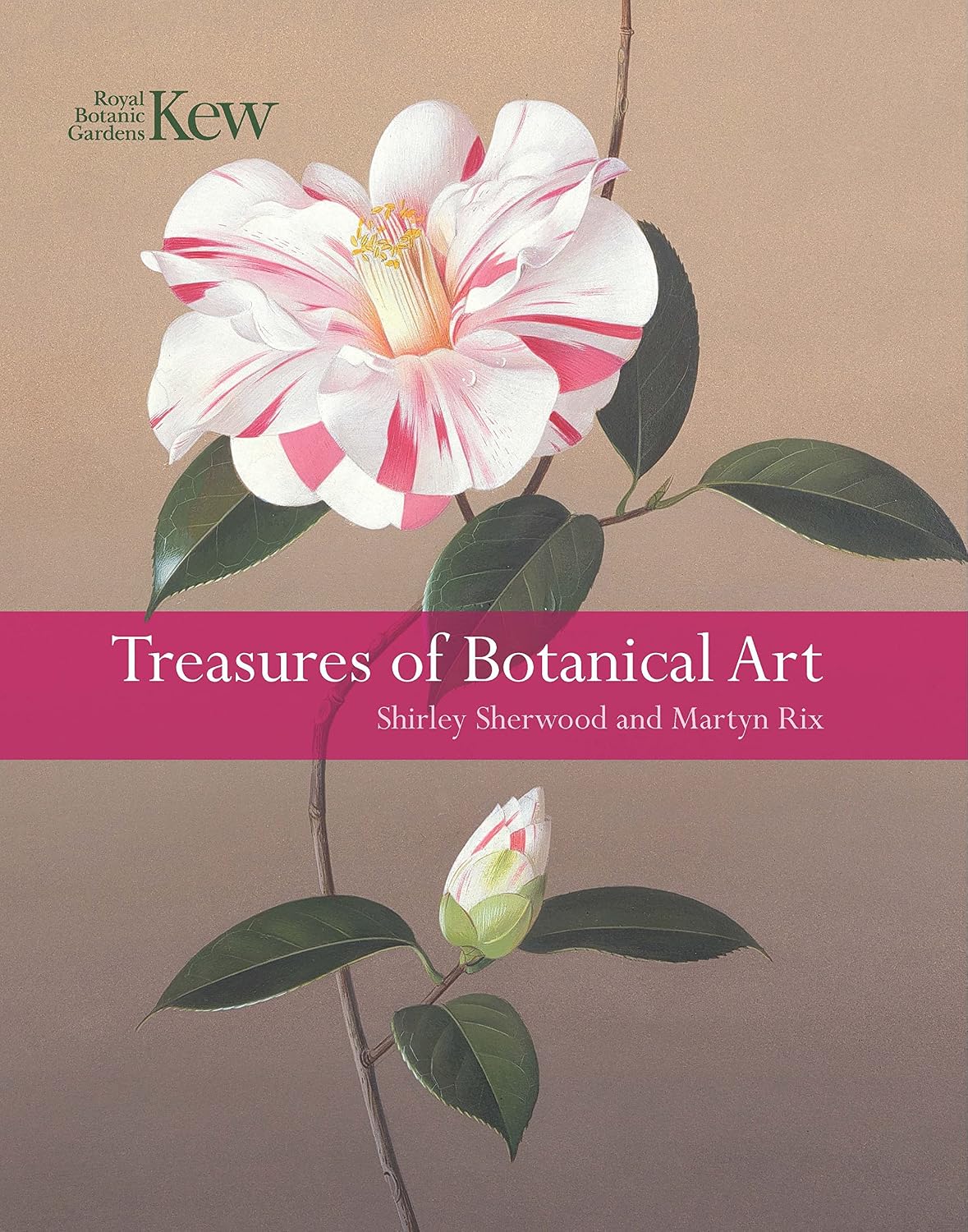 Treasures of Botanical Art baixar o livro de graça