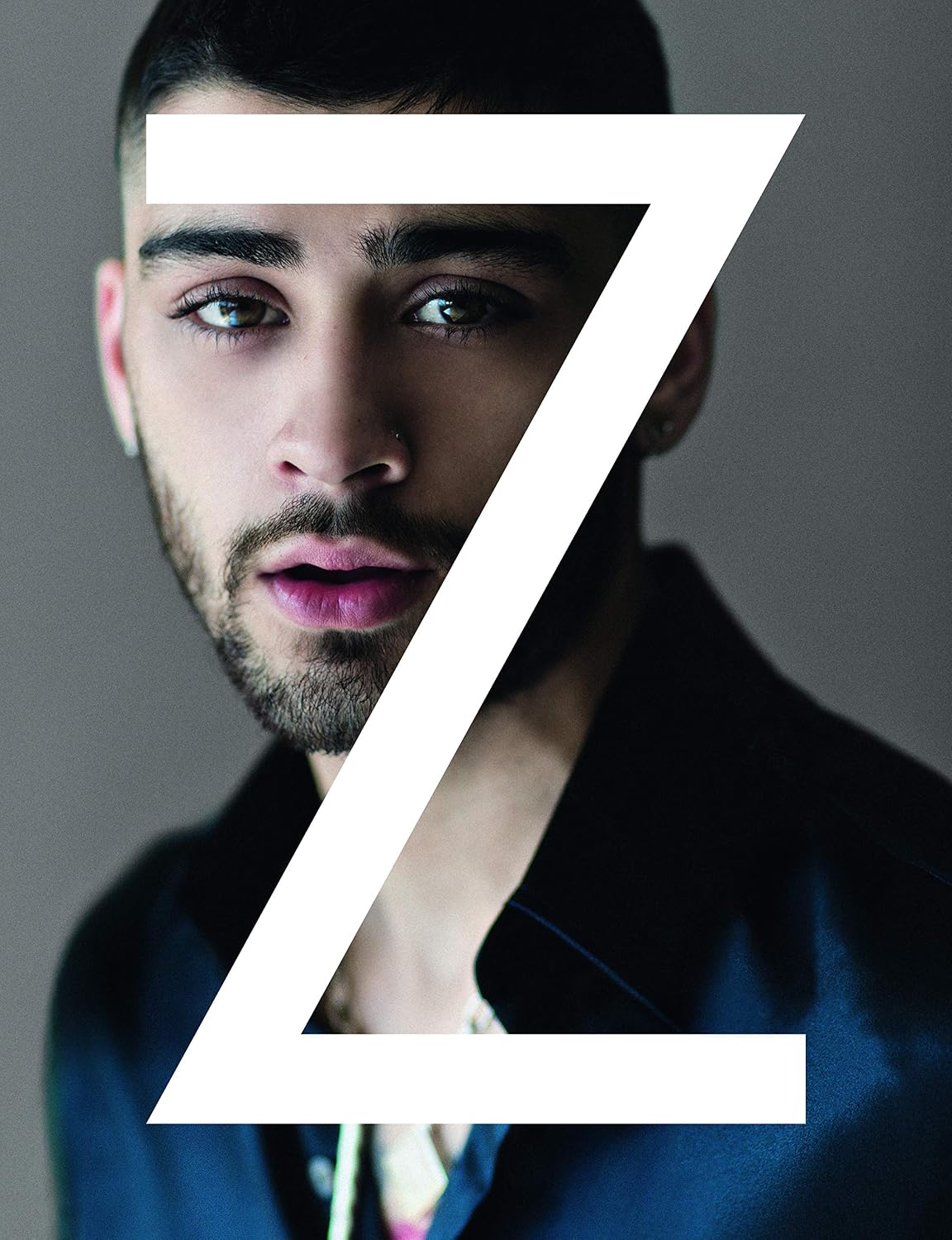 Zayn baixar o livro de graça
