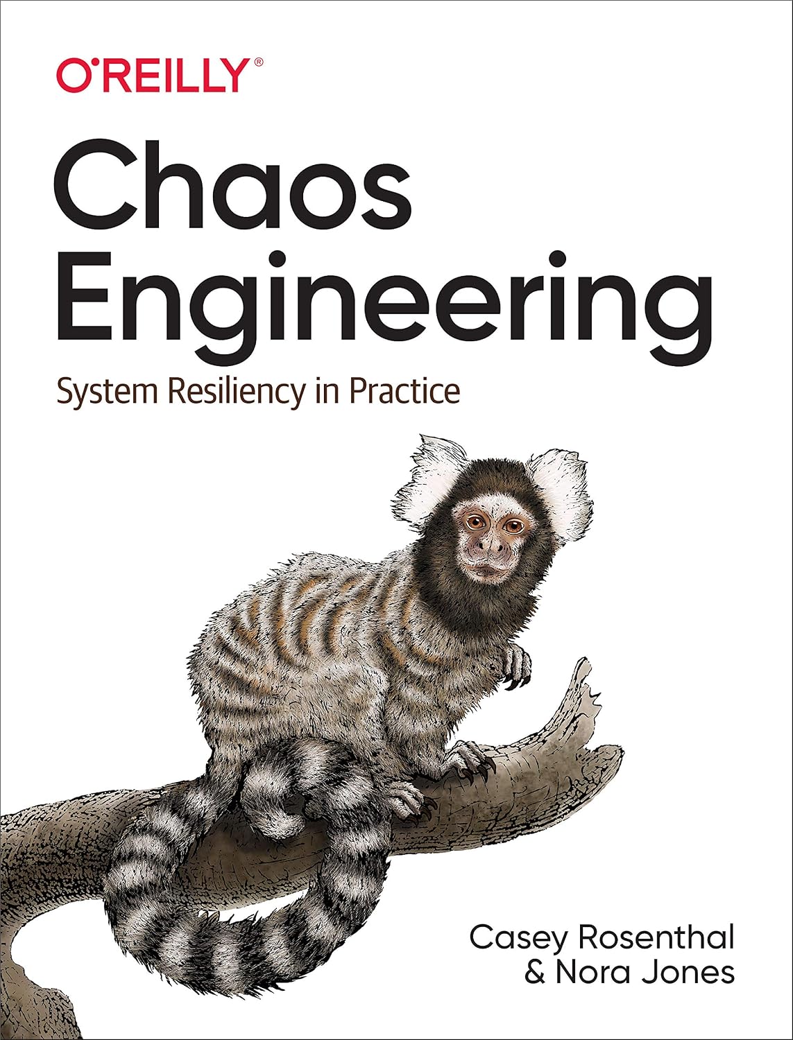 Chaos Engineering: System Resiliency in Practice (English Edition)