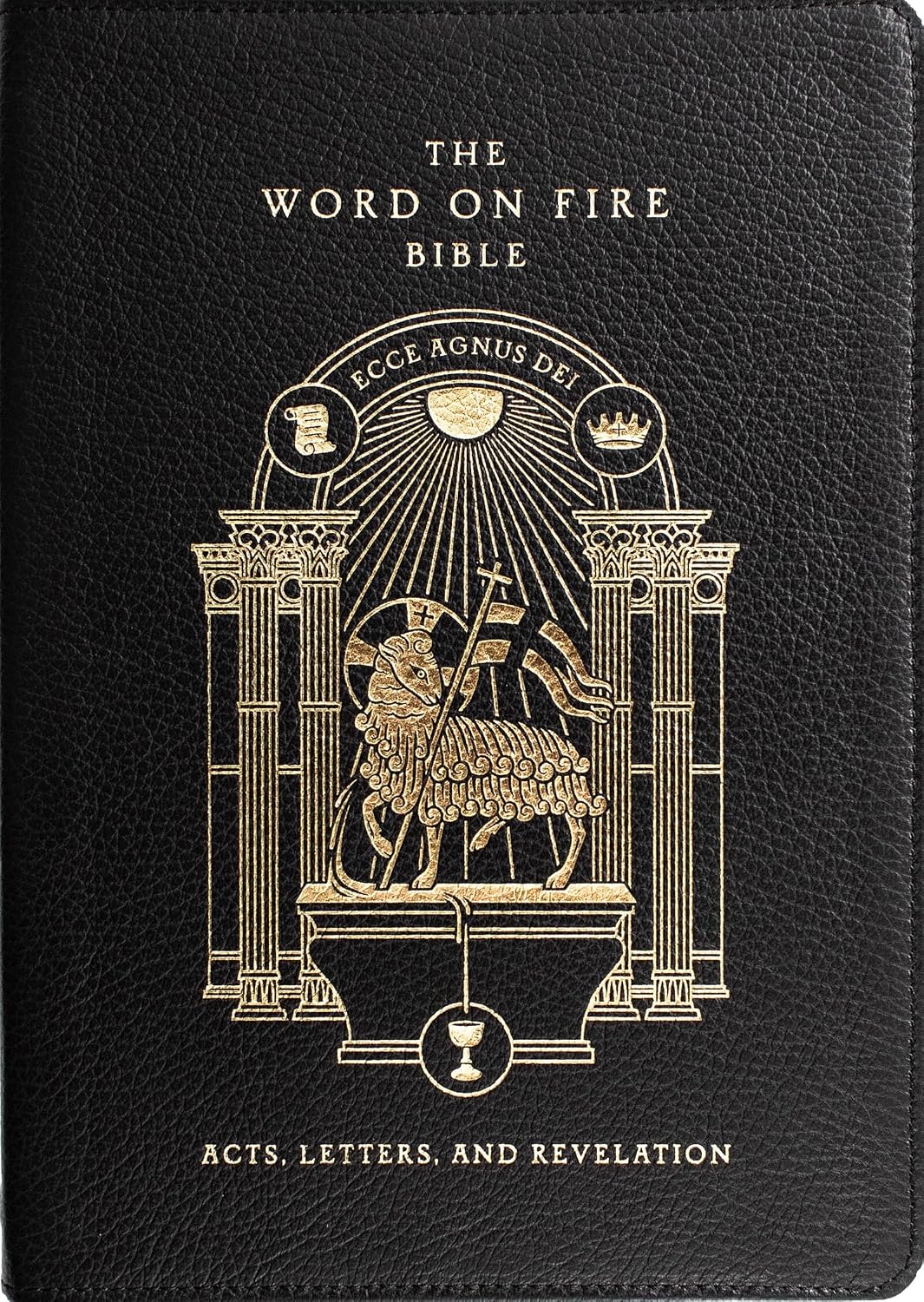 ler totalmente The Word on Fire Bible: Acts, Letters, and Revelation Volume 2