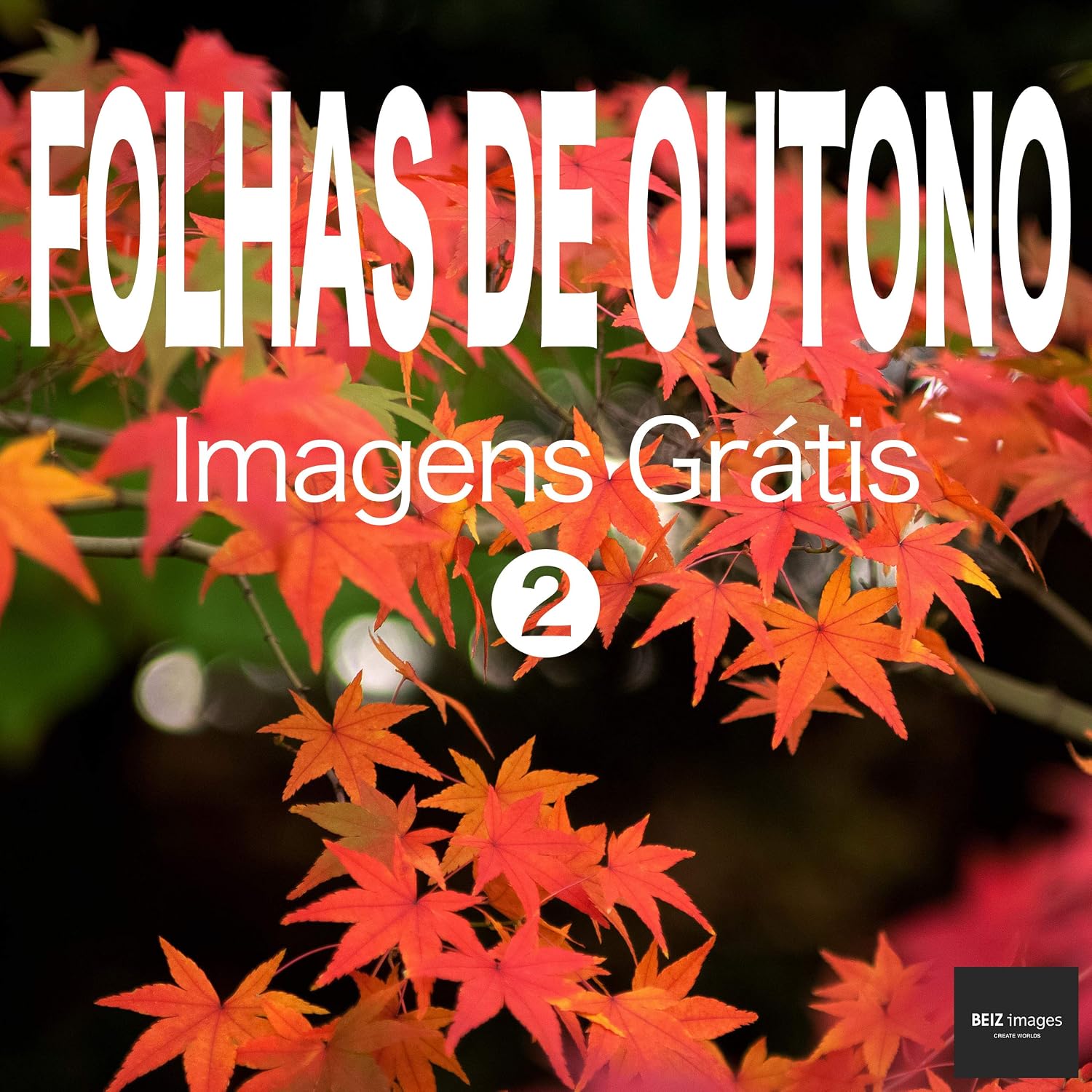 FOLHAS DE OUTONO Imagens Grátis 2 BEIZ images - Fotos Grátis baixar livro de graça