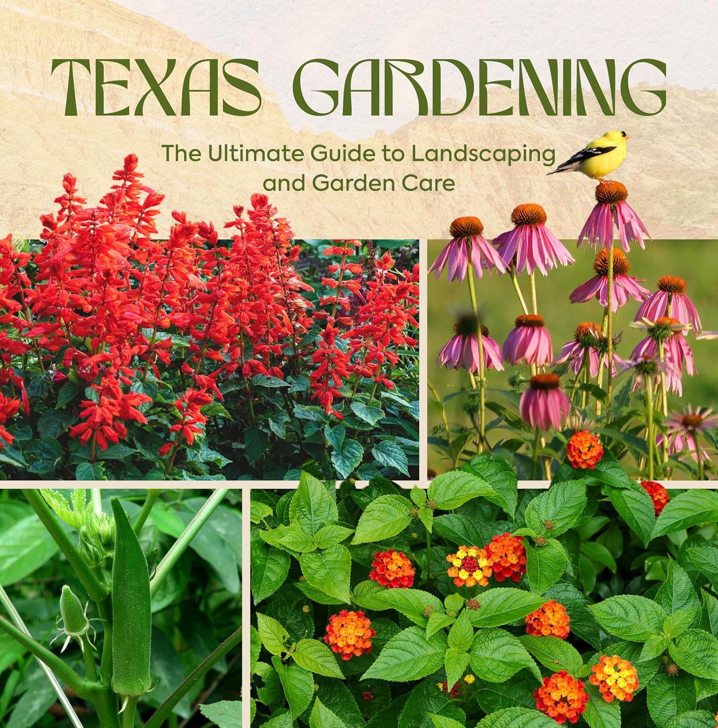 Texas Gardening: The Ultimate Guide to Landscaping and Garden Care (English Edition) baixar livro de graça