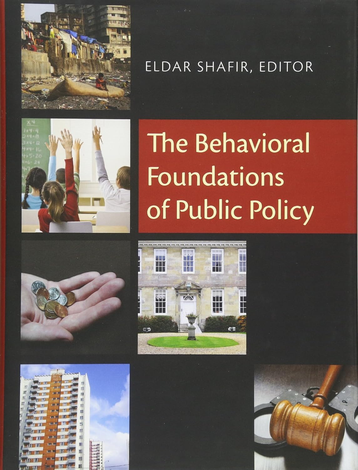 The Behavioral Foundations of Public Policy baixar o livro de graça