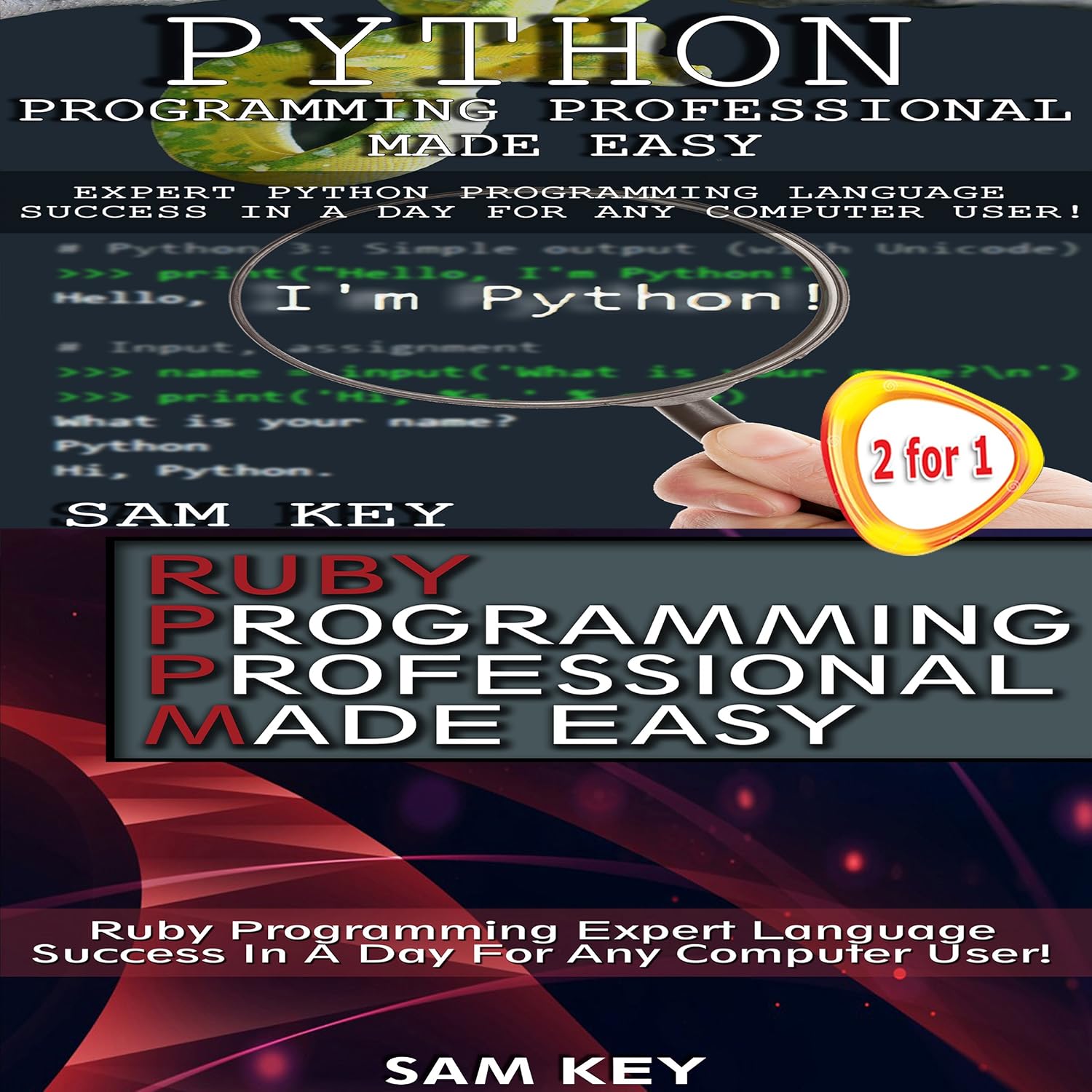 Python Programming Professional Made Easy & Ruby Programming Professional Made Easy: Programming #47 baixar o livro de graça