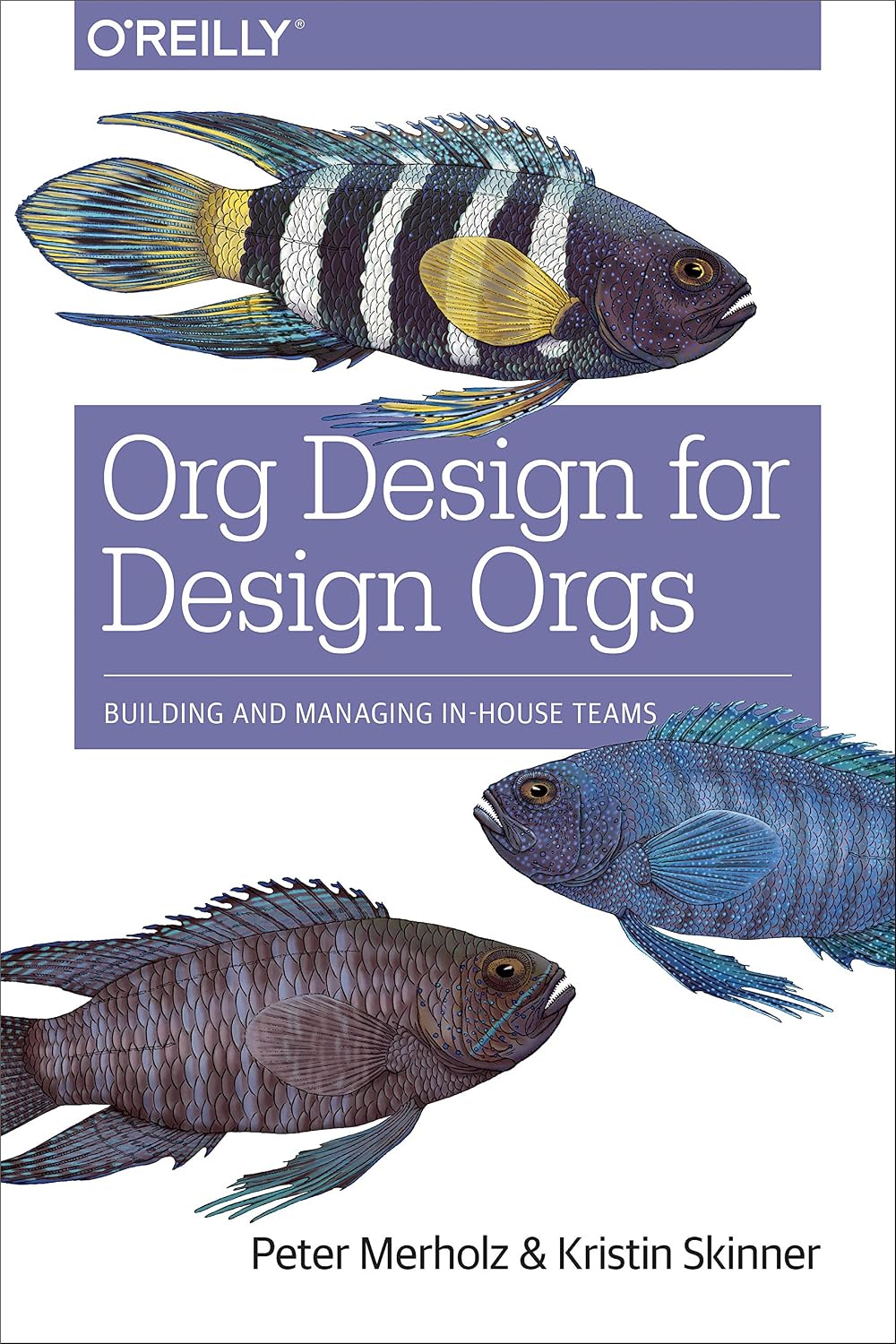 Org Design for Design Orgs: Building and Managing In-House Design Teams baixar livro de graça