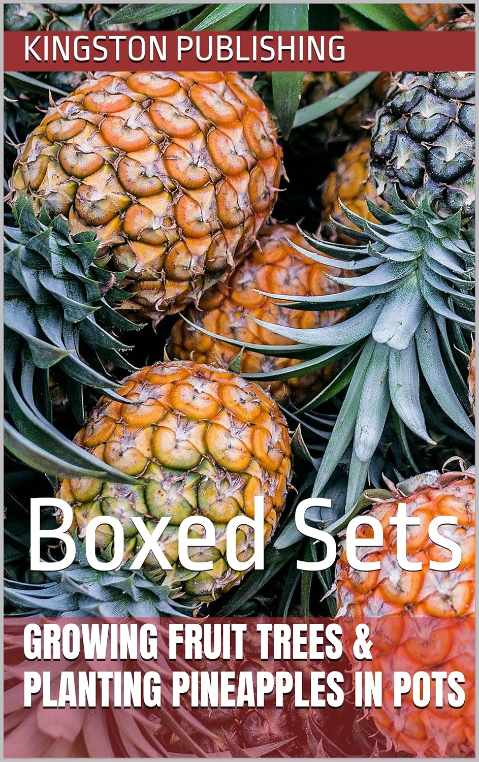 capítulo por capítulo baixar Growing Fruit Trees & Planting Pineapples in Pots: Boxed Sets (Growing Fruit in Pots) (English Edition)