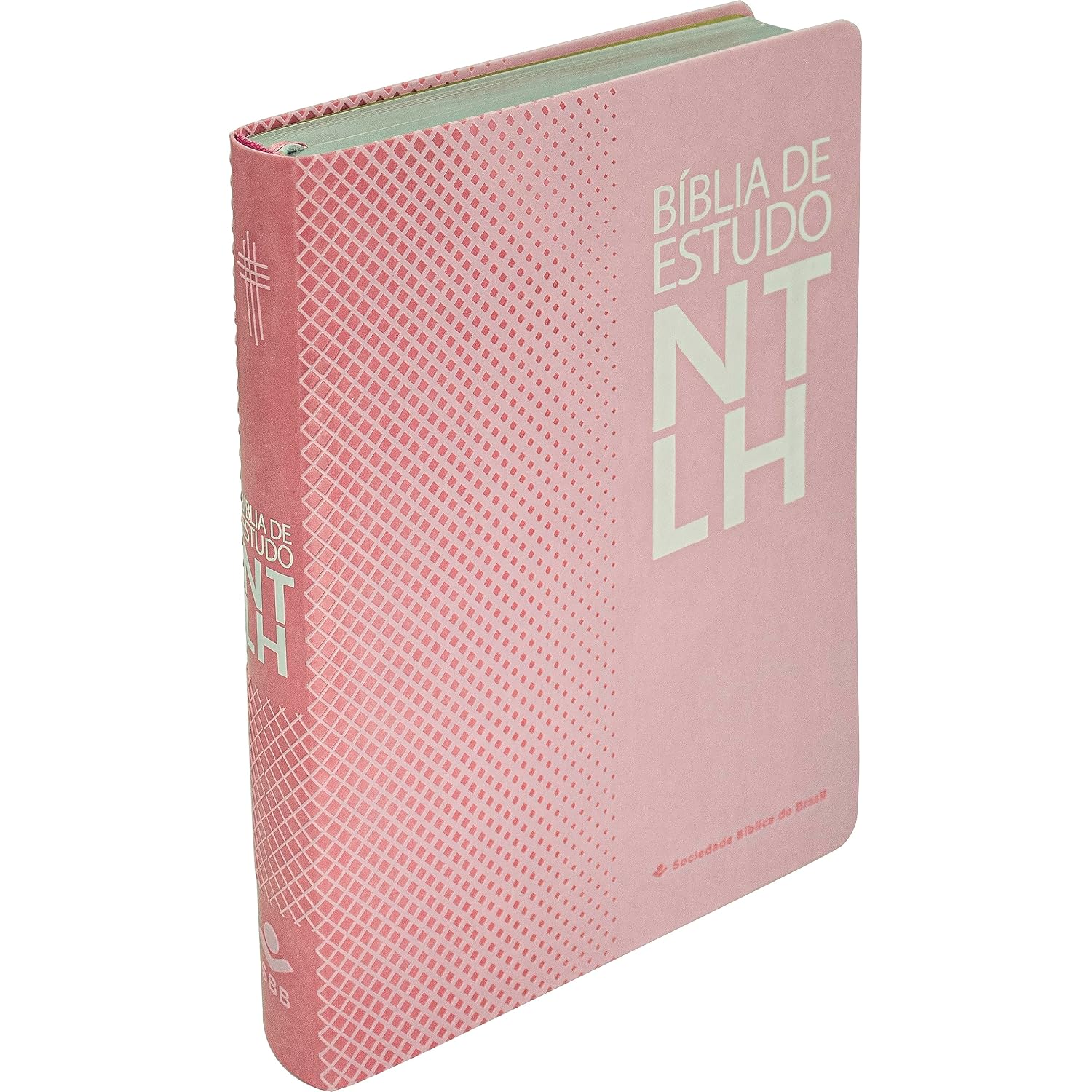 Bíblia Sagrada NTLH de Estudo para Mulher, Letra Regular, com mapa, Capa Couro Sintético Rosa: Nova Tradução na Linguagem de Hoje (NTLH) baixar o livro de graça