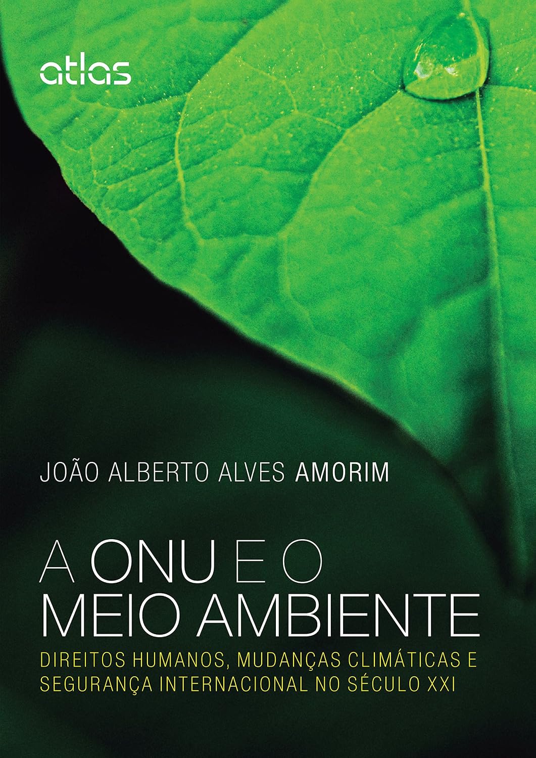 A Onu E O Meio Ambiente: Direitos Humanos, Mudanças Climáticas e Segurança Internacional no Século XXI baixar o livro de graça